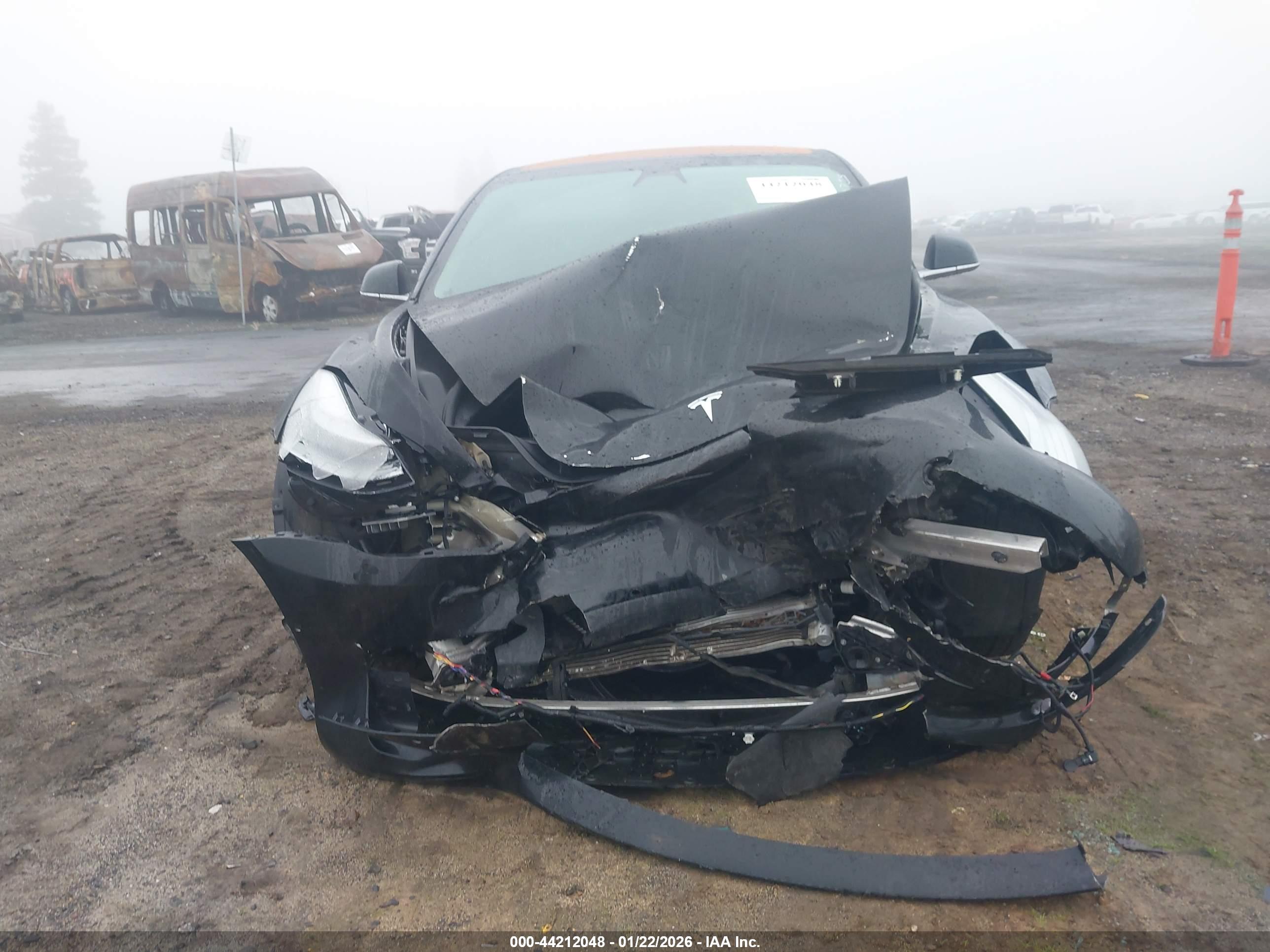 TESLA MODEL image 6