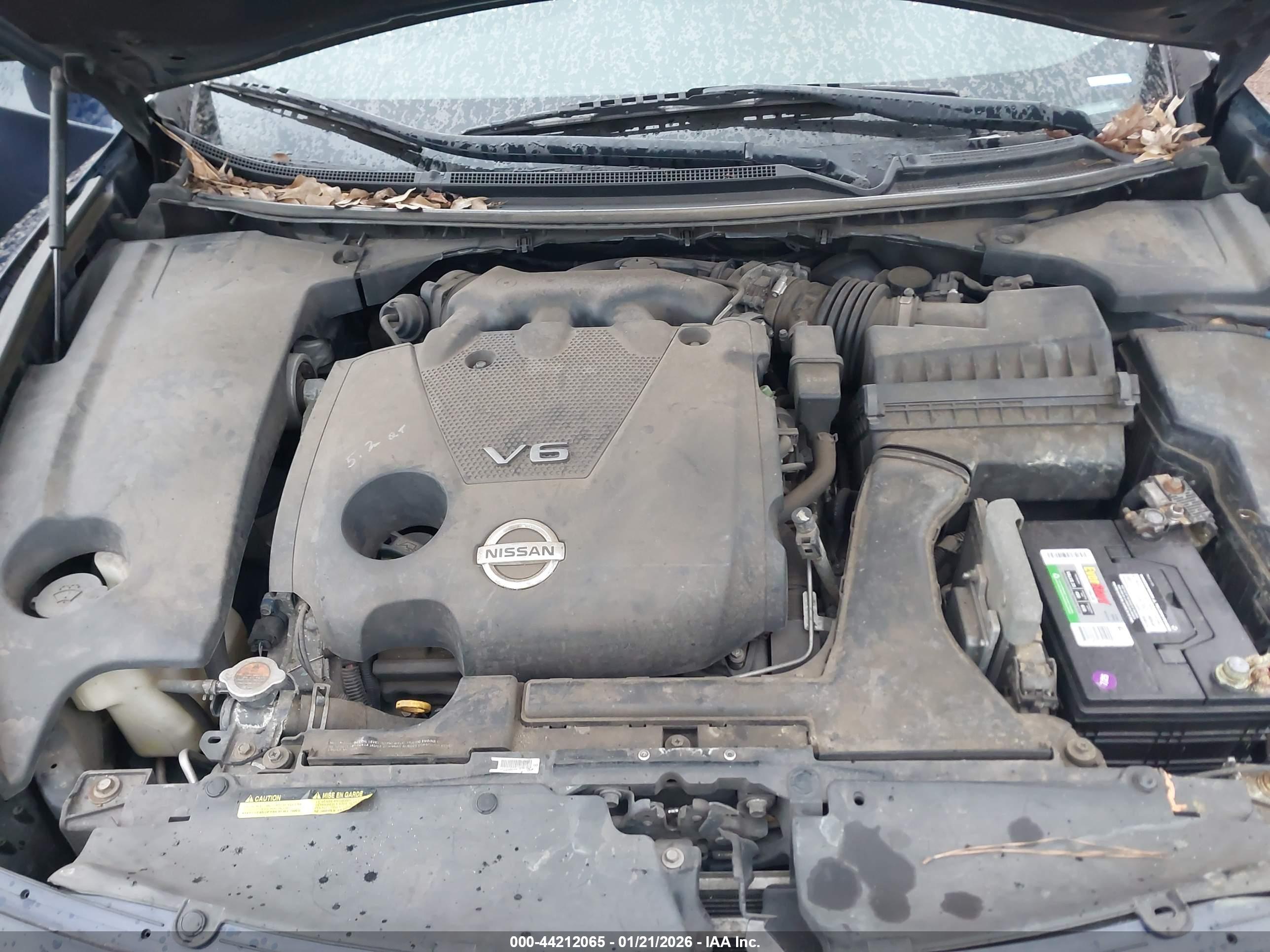 NISSAN MAXIMA image 10