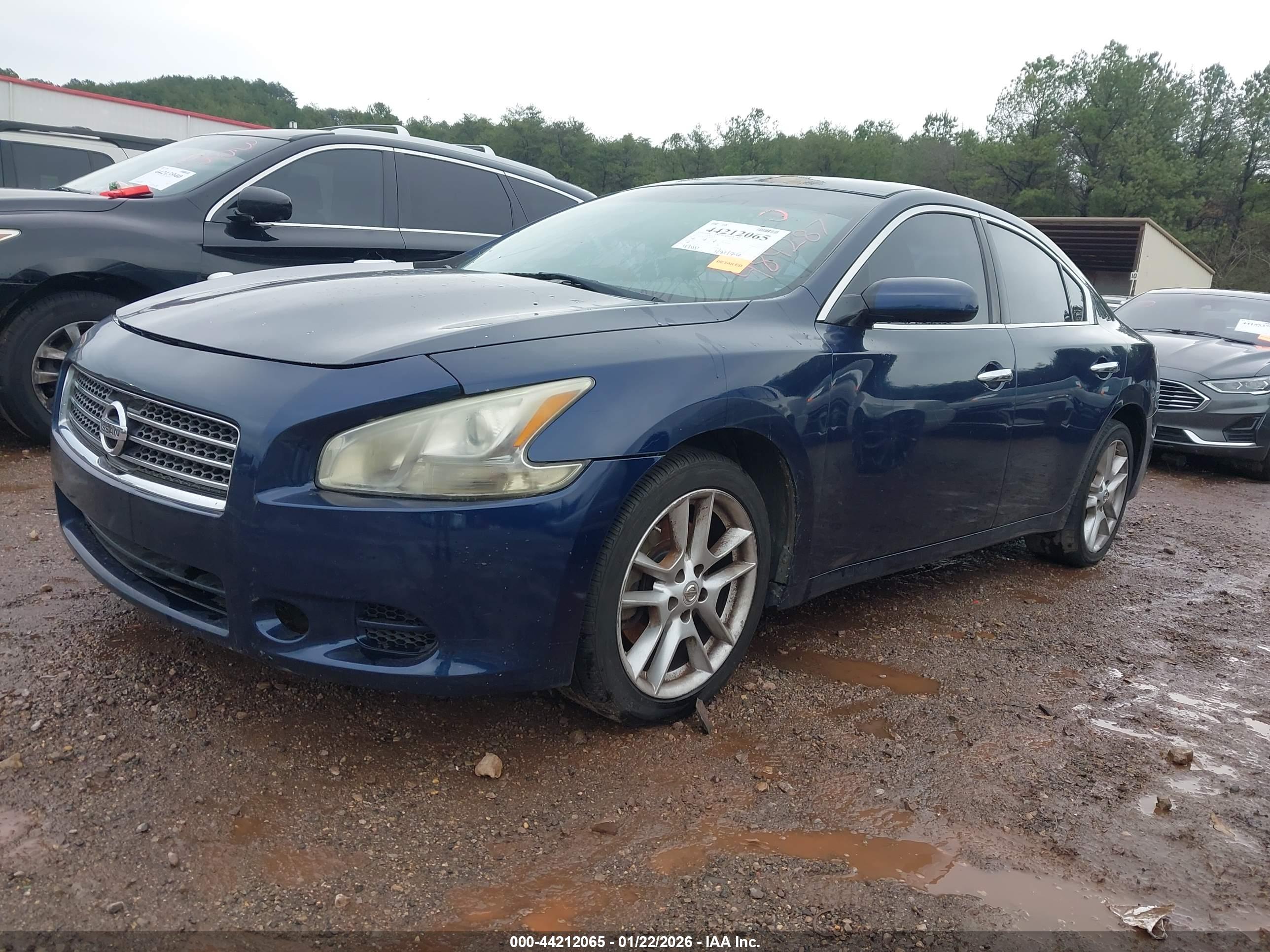 NISSAN MAXIMA image 2