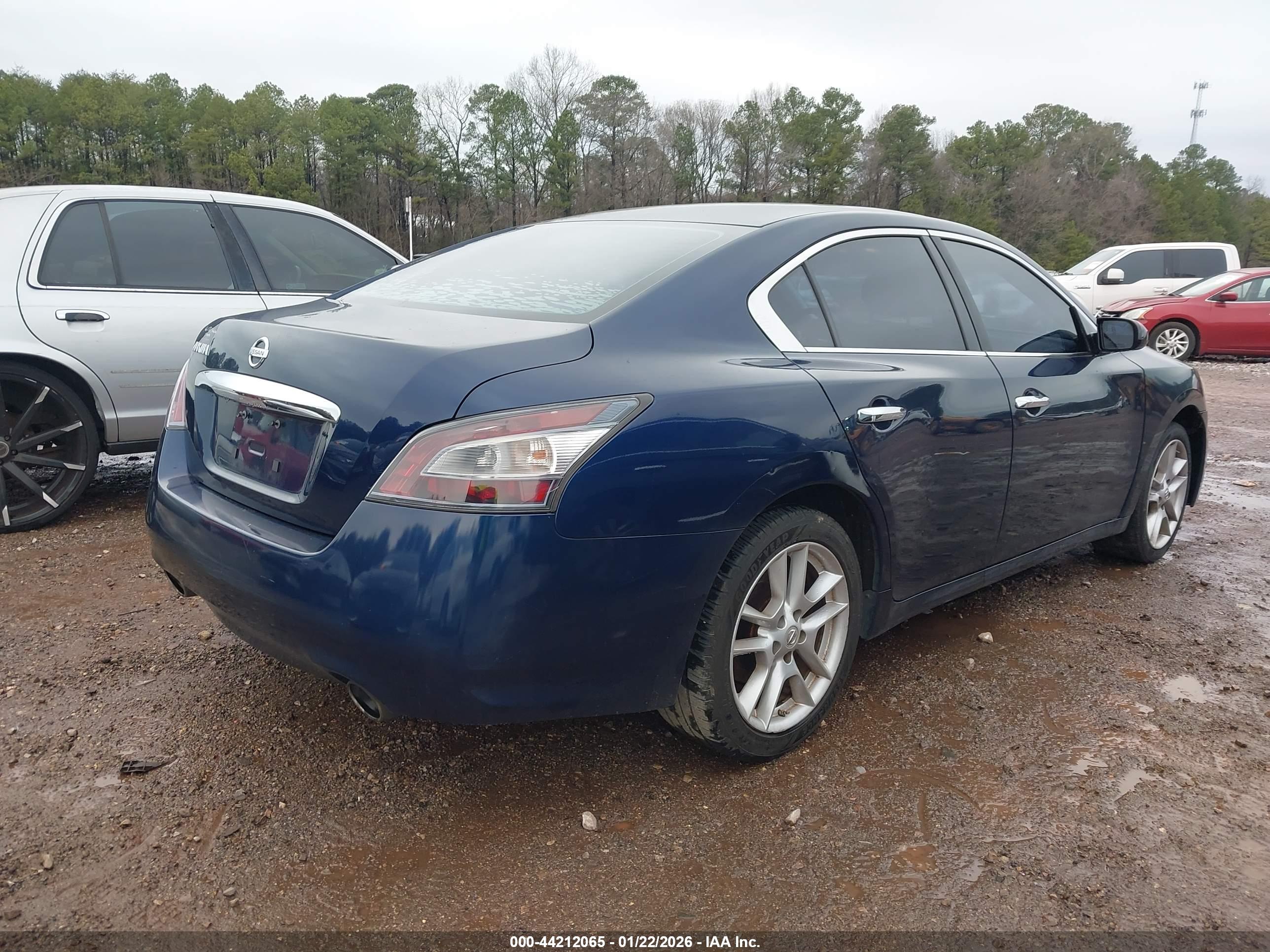 NISSAN MAXIMA image 4
