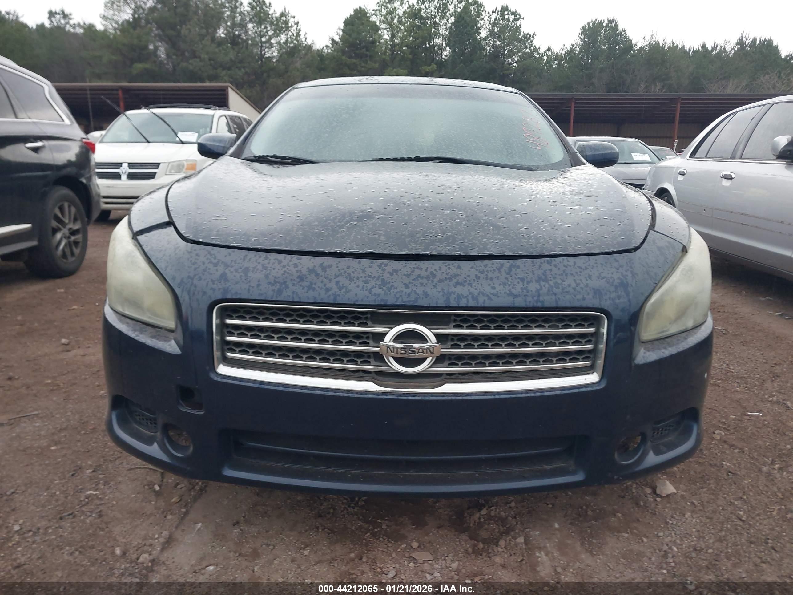 NISSAN MAXIMA image 6
