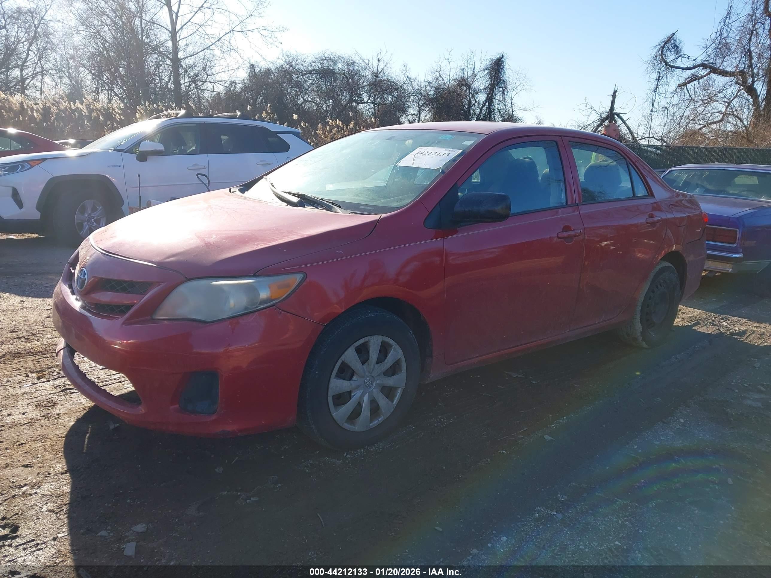 TOYOTA COROLLA image 2