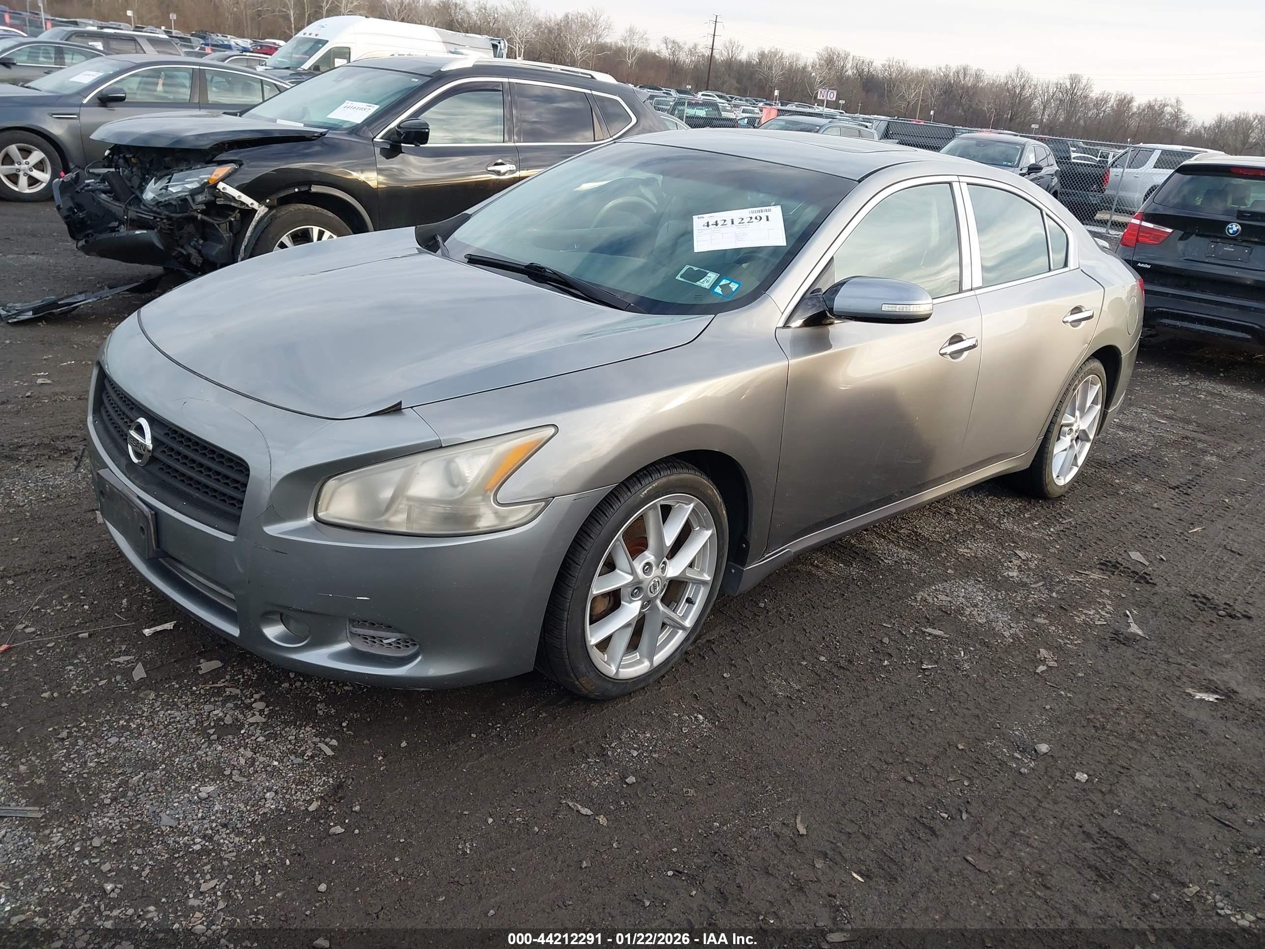 NISSAN MAXIMA image 2