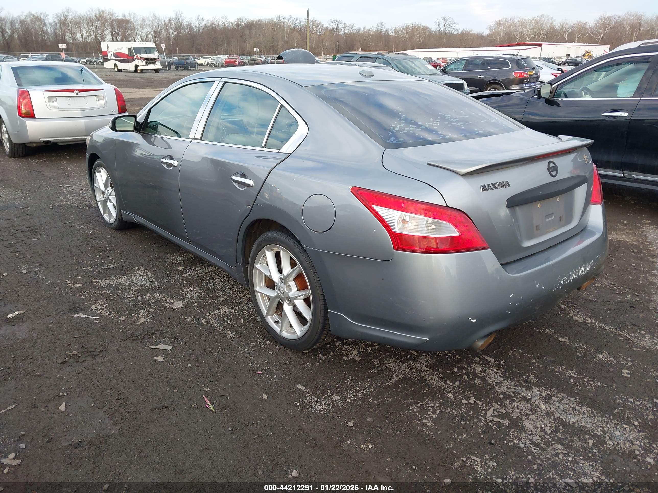 NISSAN MAXIMA image 3