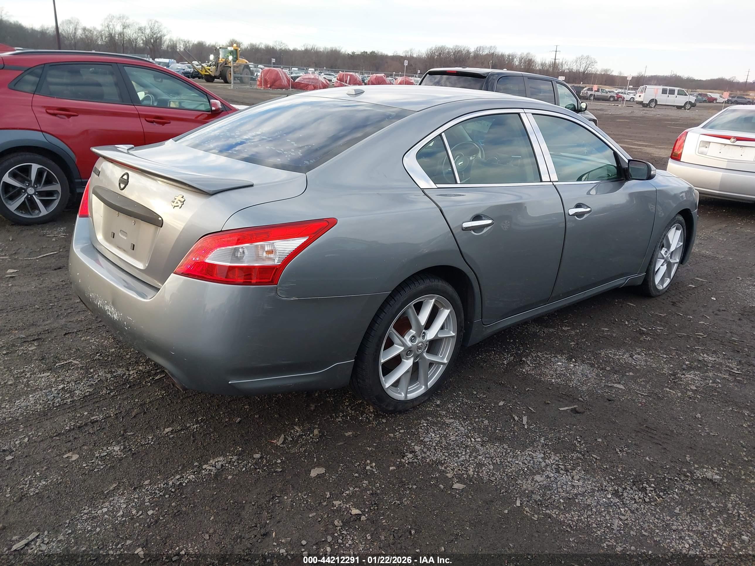 NISSAN MAXIMA image 4