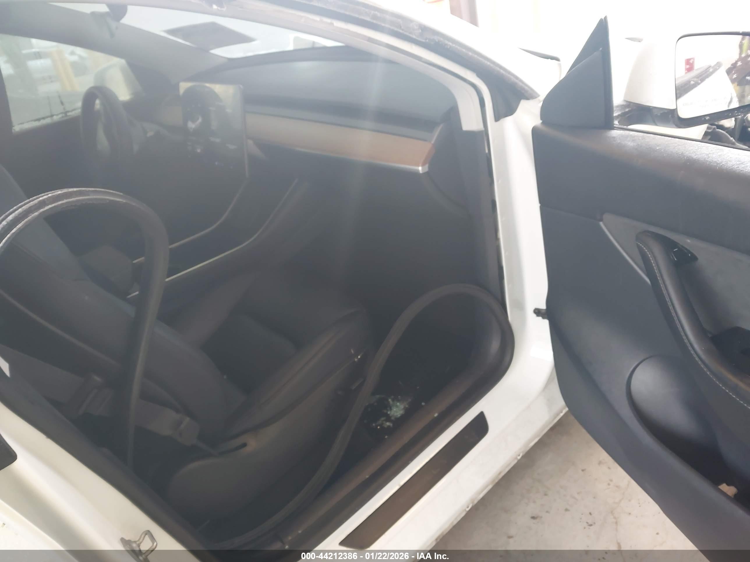 TESLA MODEL image 5