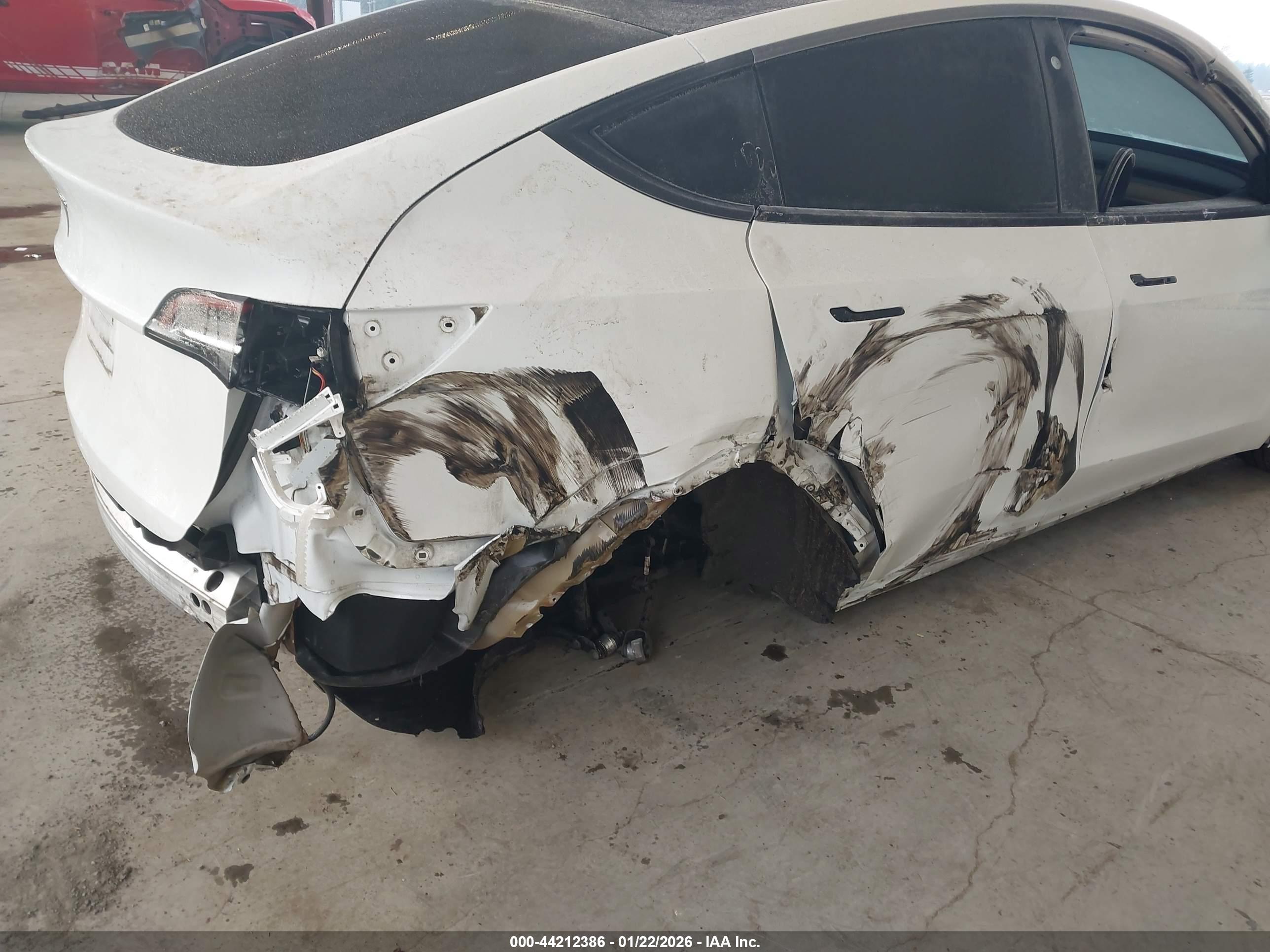 TESLA MODEL image 6