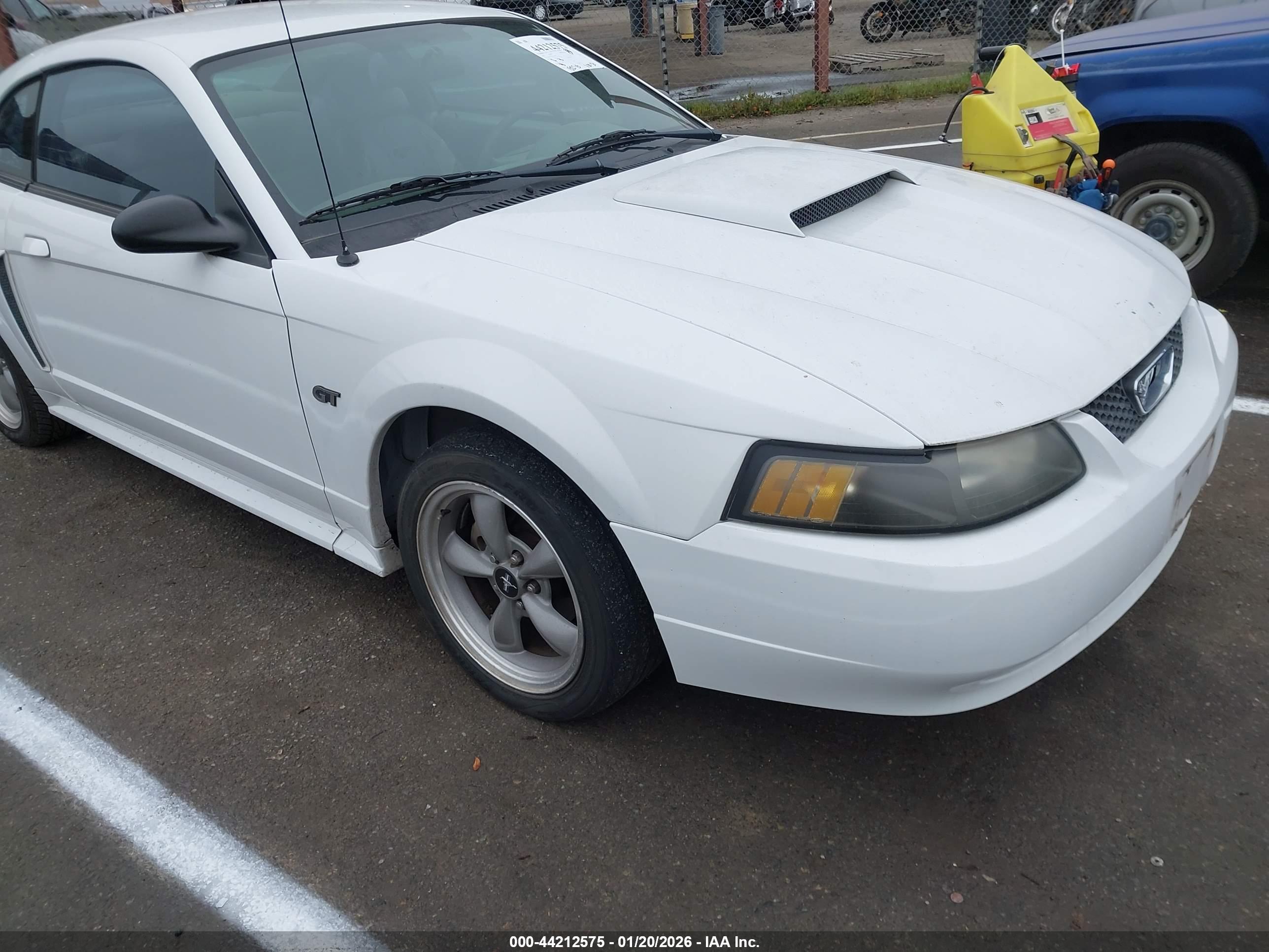 FORD MUSTANG image 6
