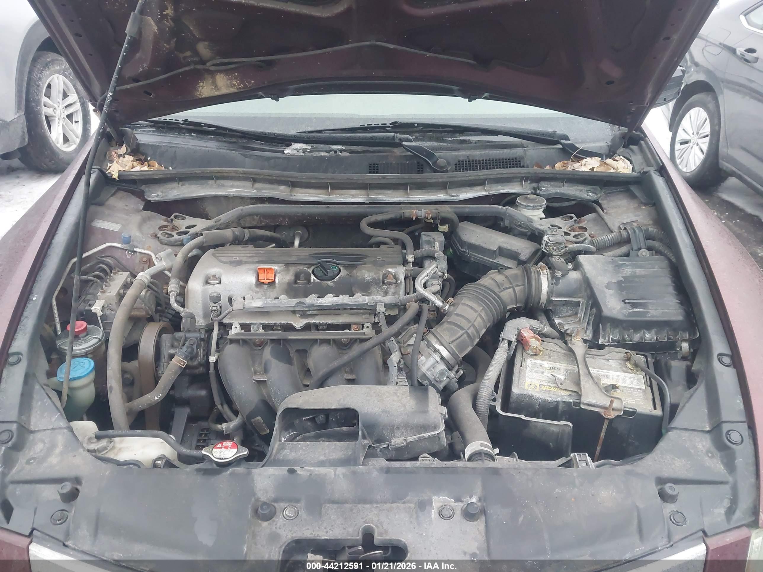 HONDA ACCORD image 10