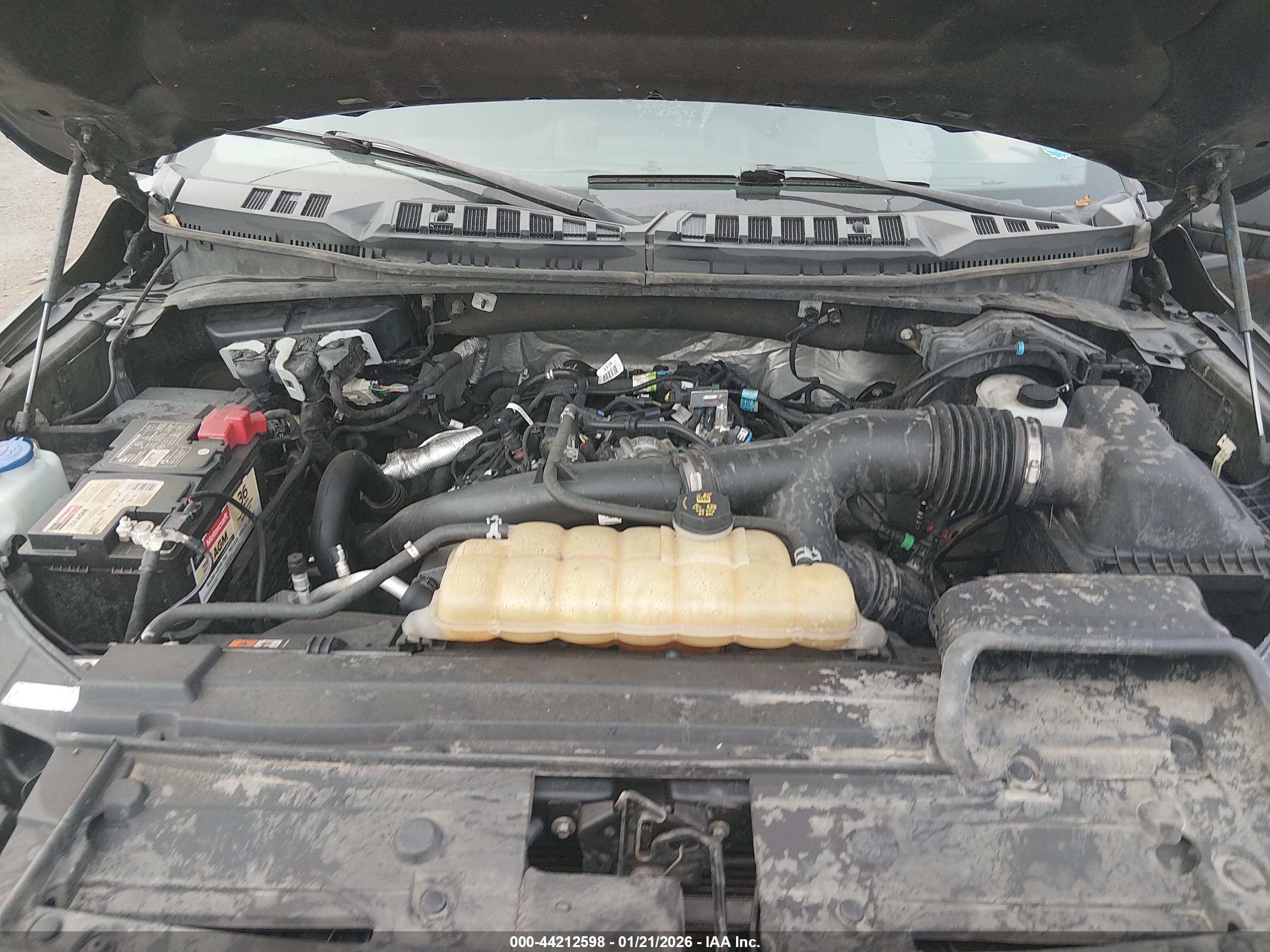 FORD F-150 image 10