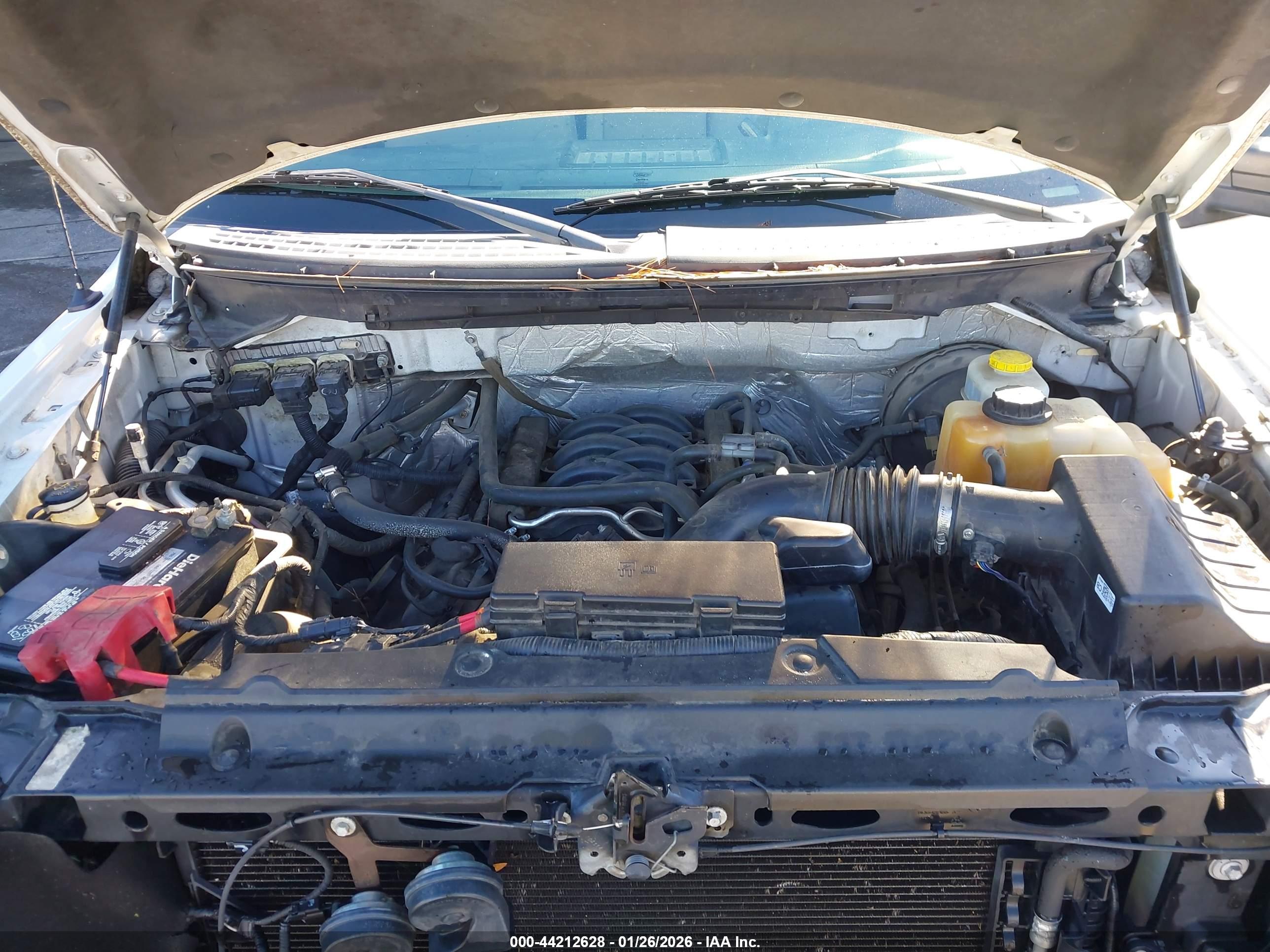 FORD F-150 image 10