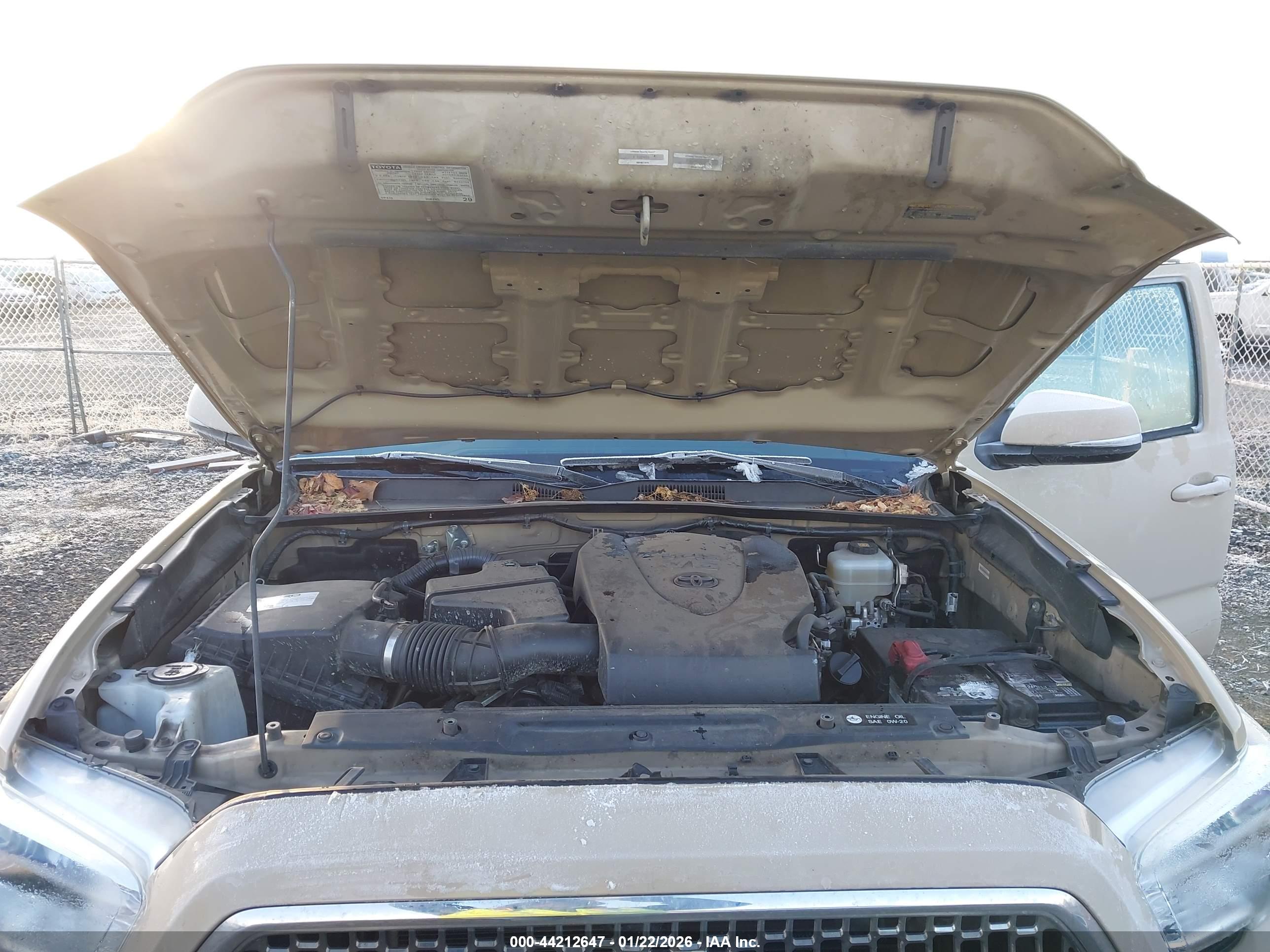 TOYOTA TACOMA image 10