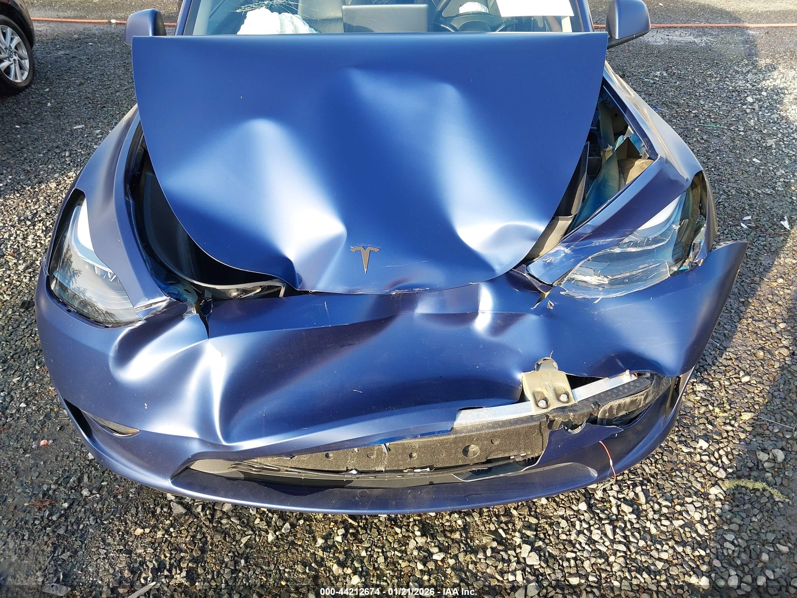 TESLA MODEL image 10