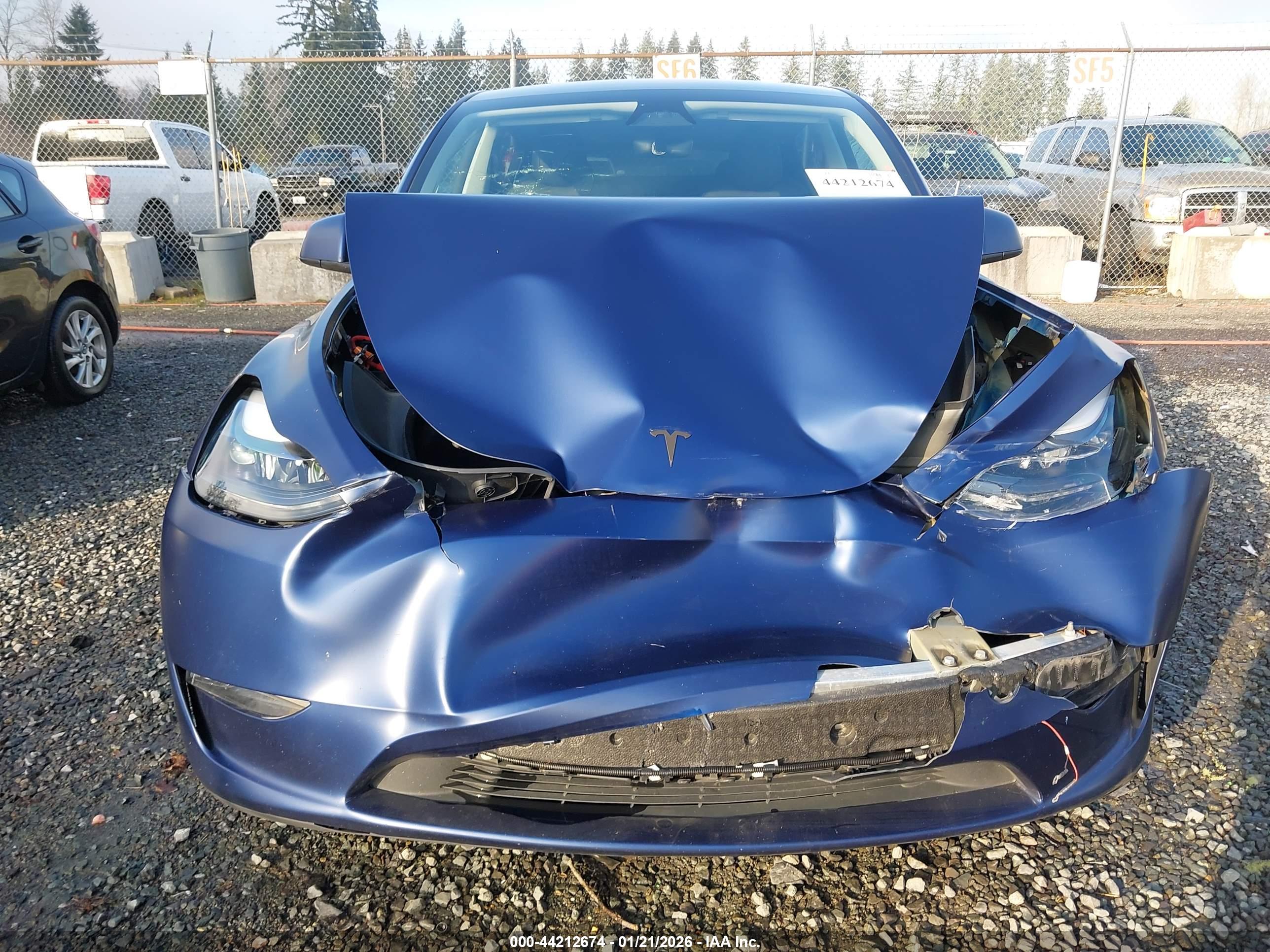 TESLA MODEL image 6