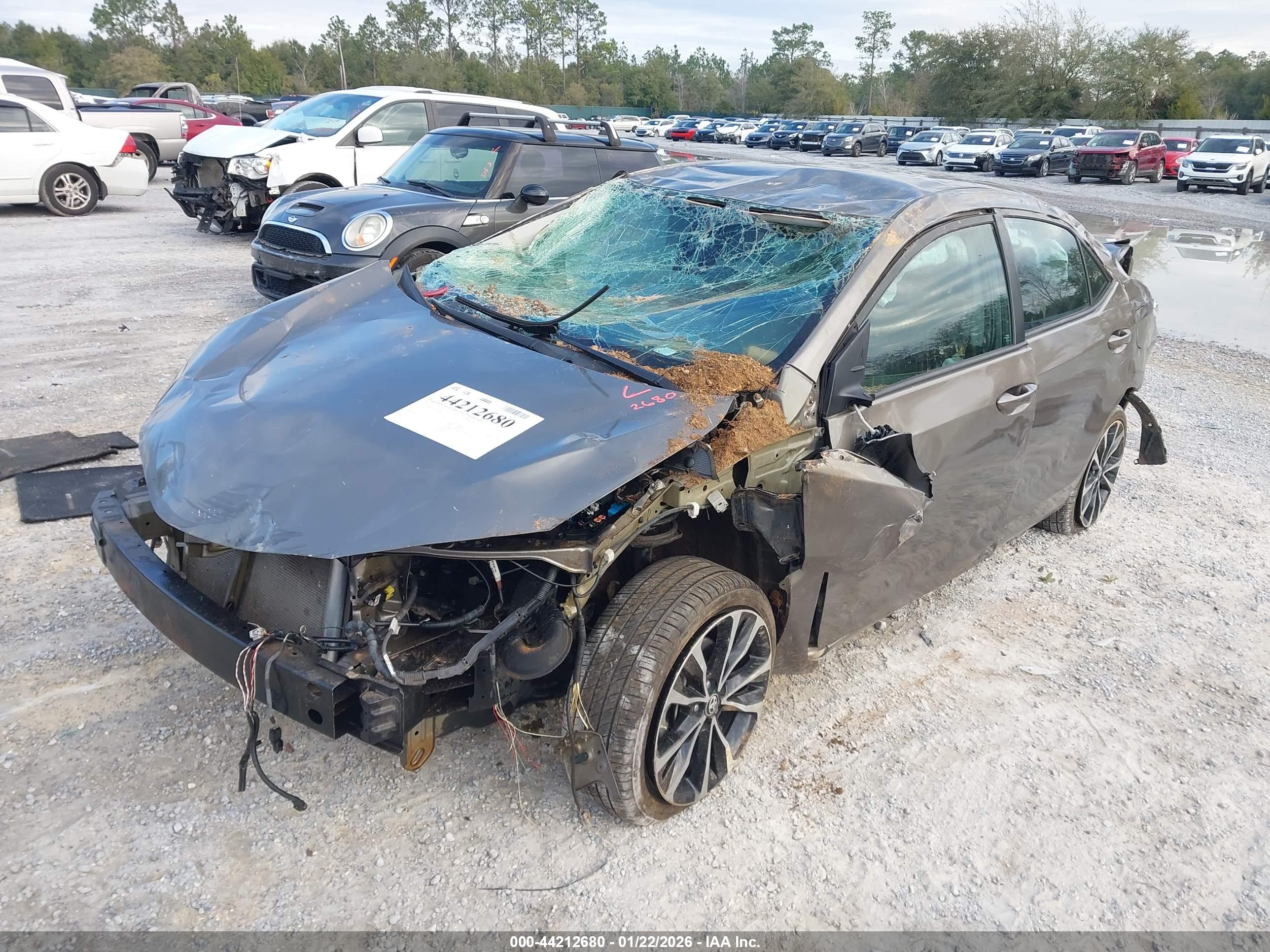 TOYOTA COROLLA image 2