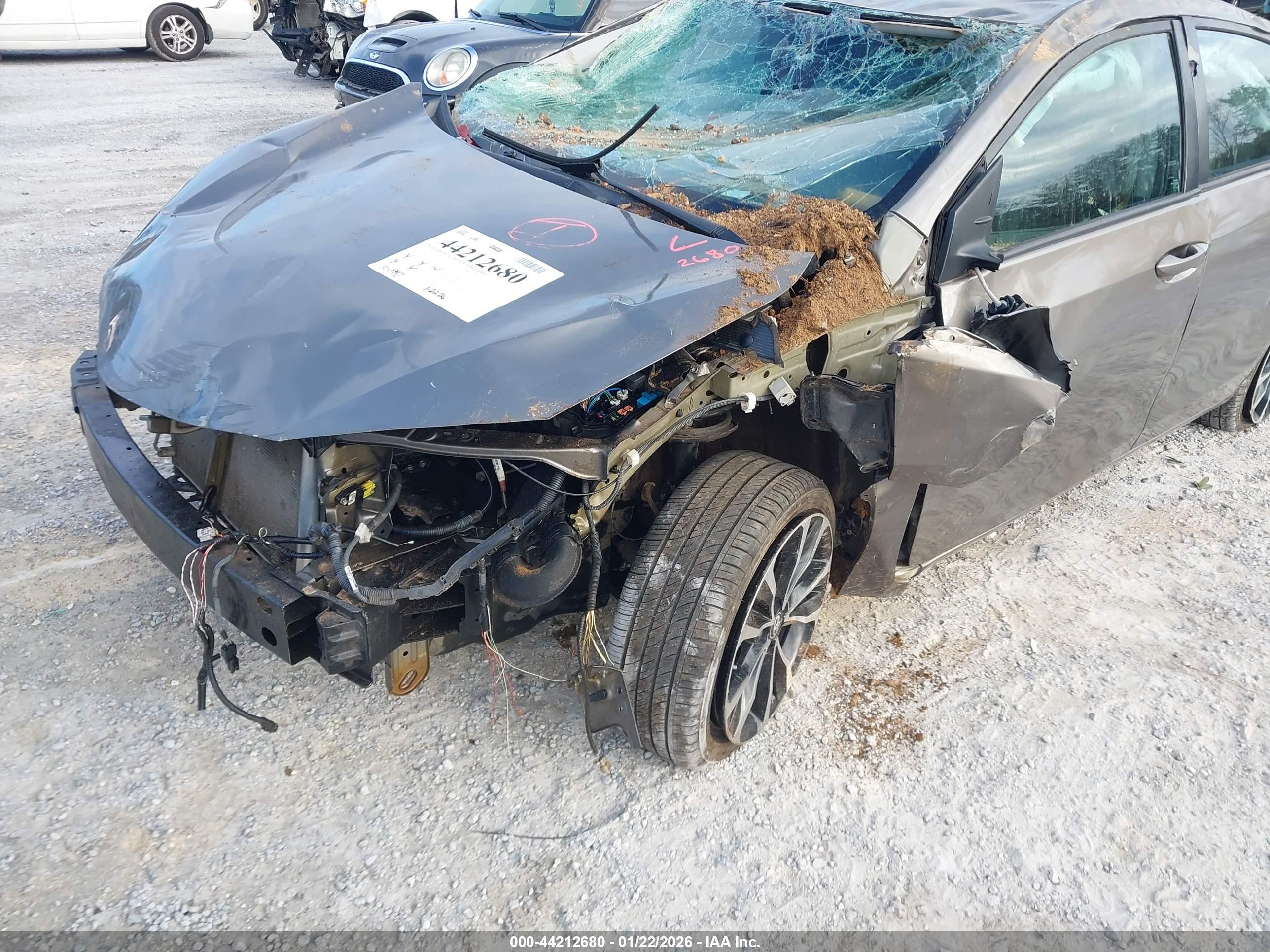 TOYOTA COROLLA image 6