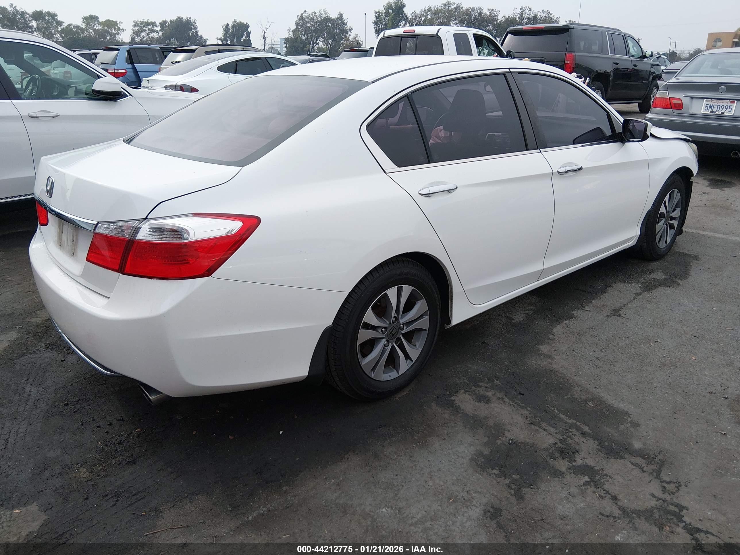 HONDA ACCORD image 4