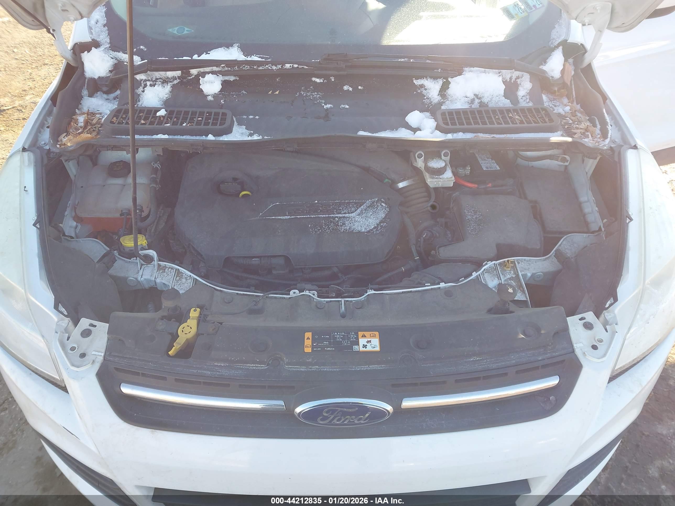 FORD ESCAPE image 10