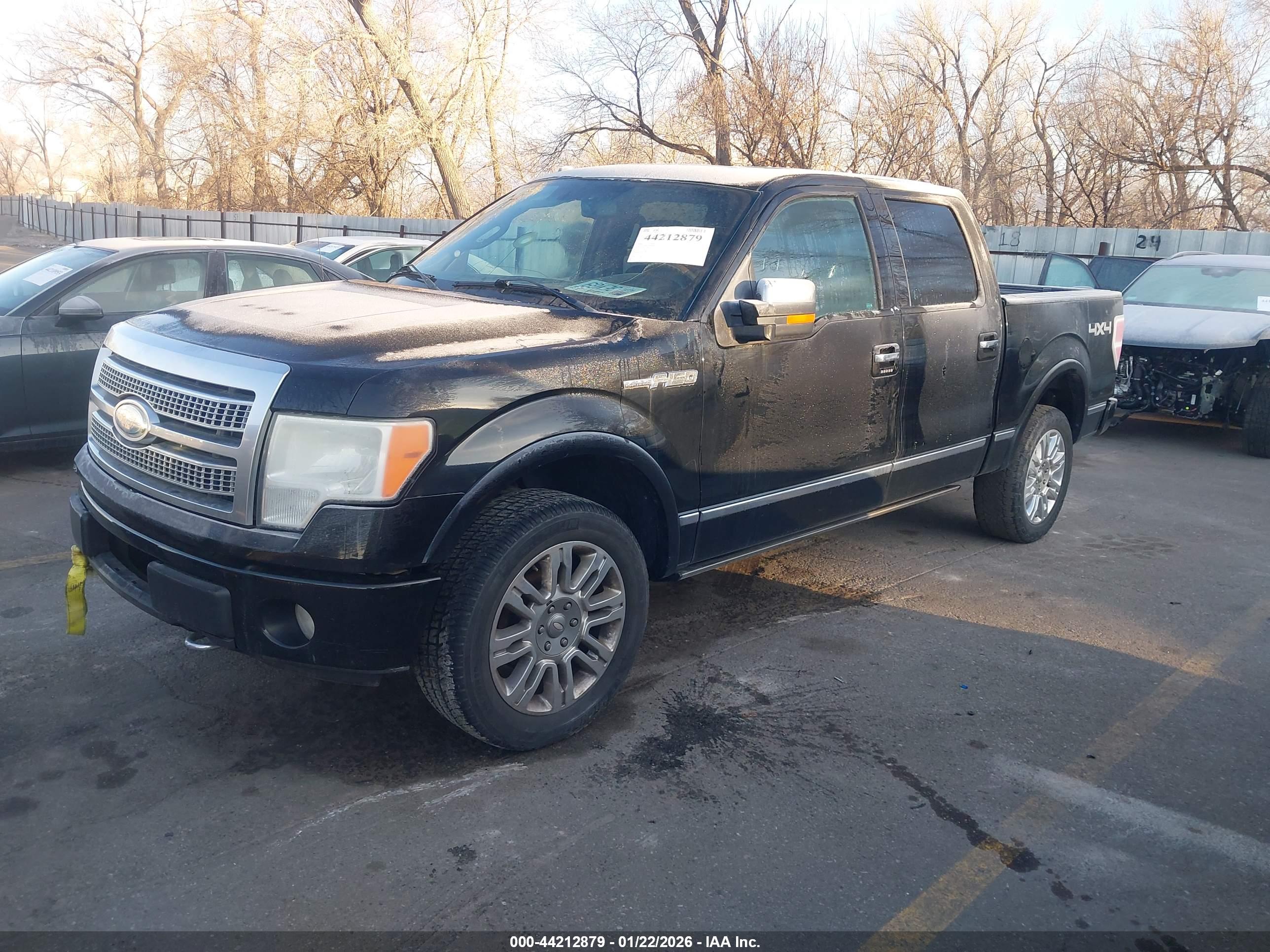 FORD F-150 image 2