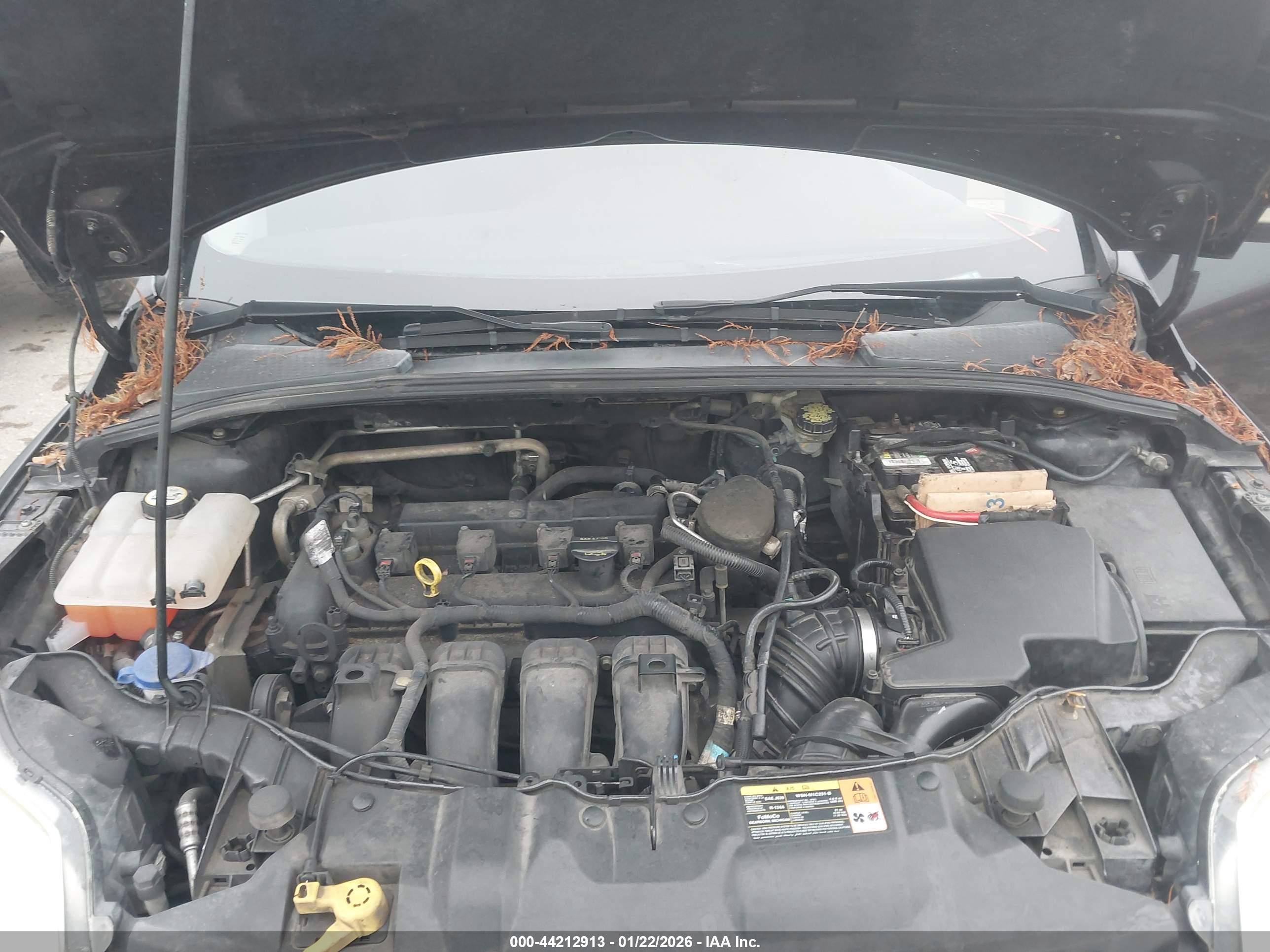 FORD FOCUS image 10