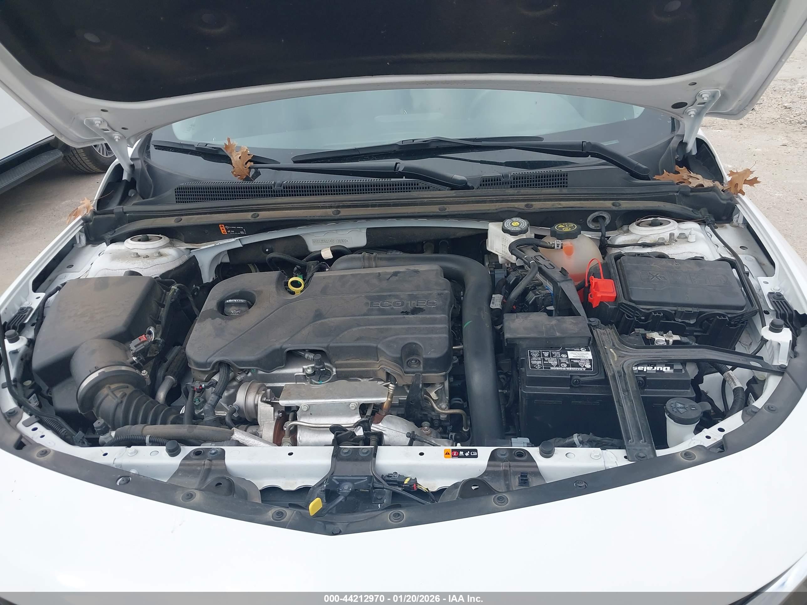 CHEVROLET MALIBU image 10