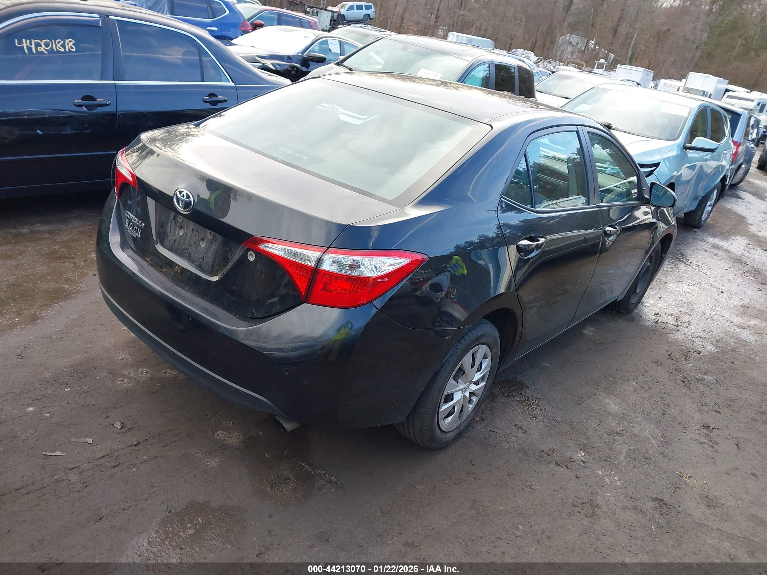 TOYOTA COROLLA image 4
