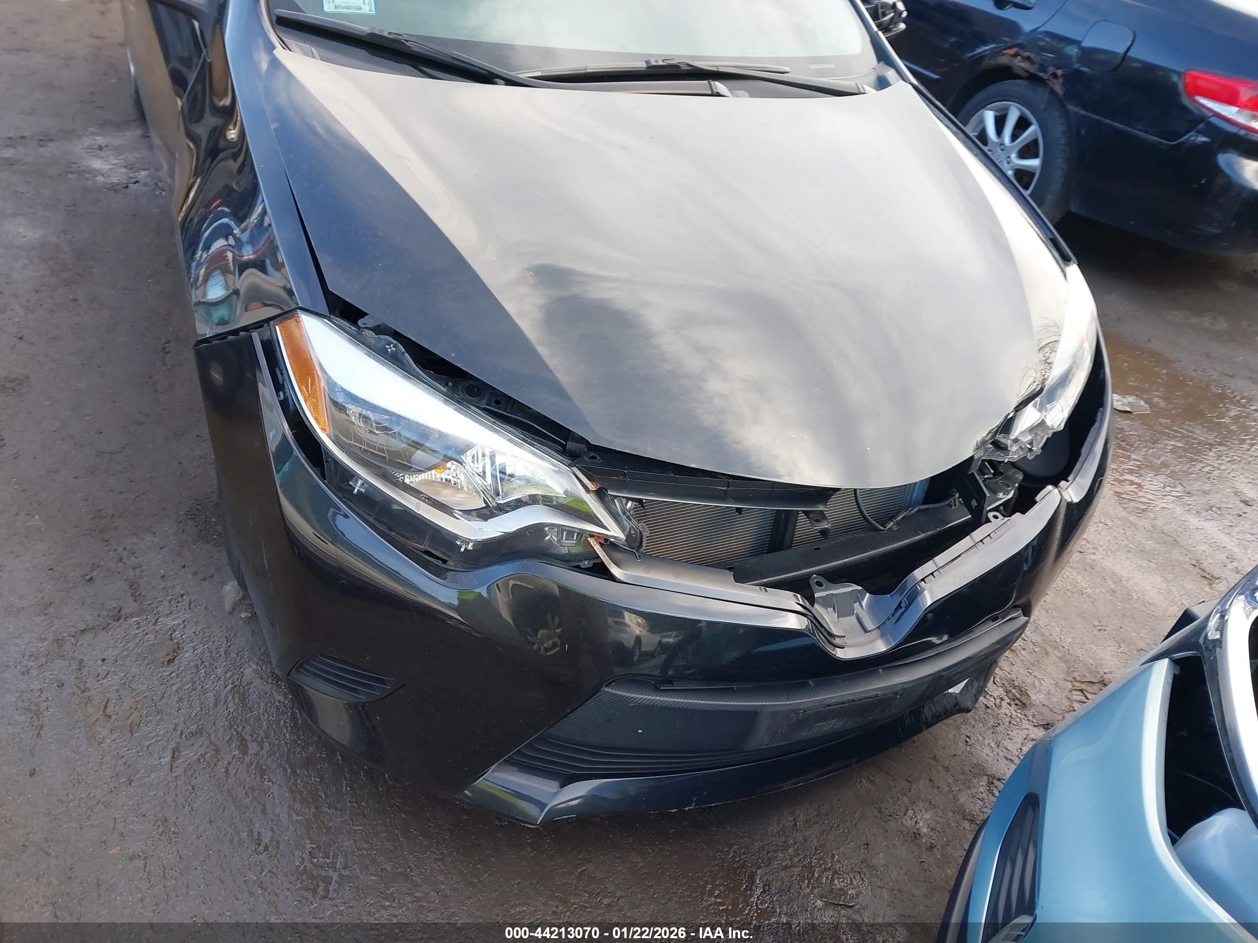 TOYOTA COROLLA image 6