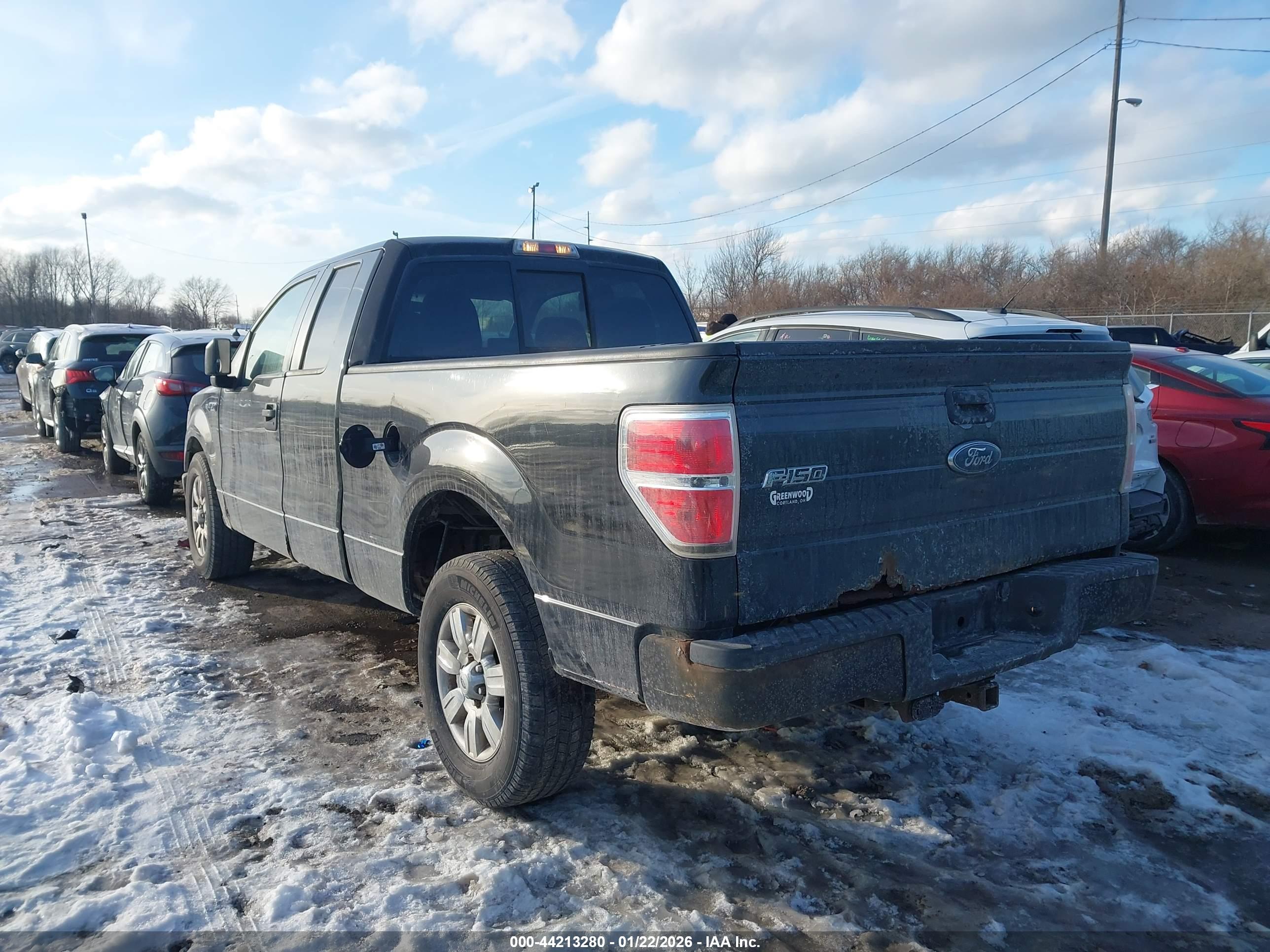 FORD F-150 image 3