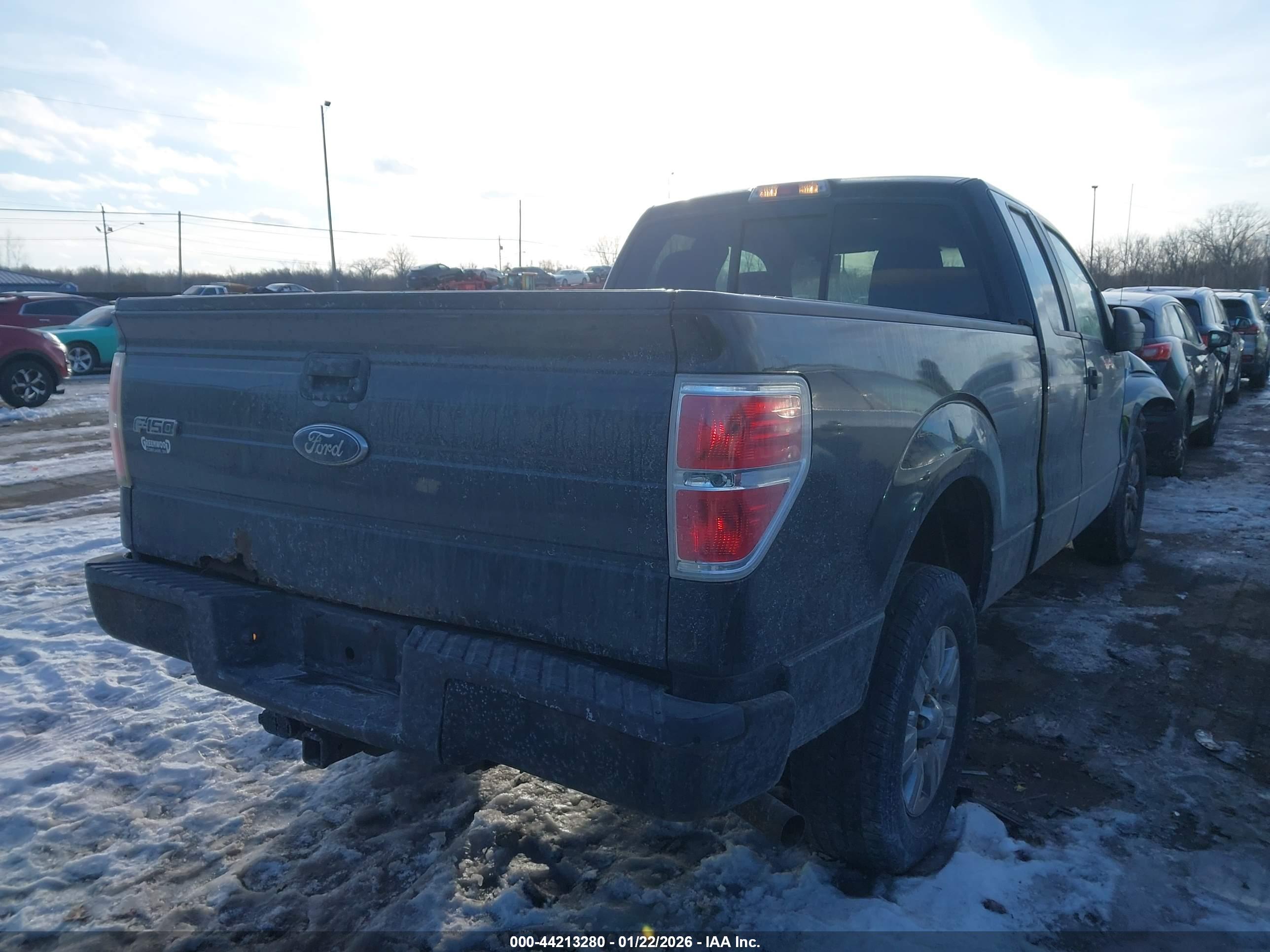FORD F-150 image 4