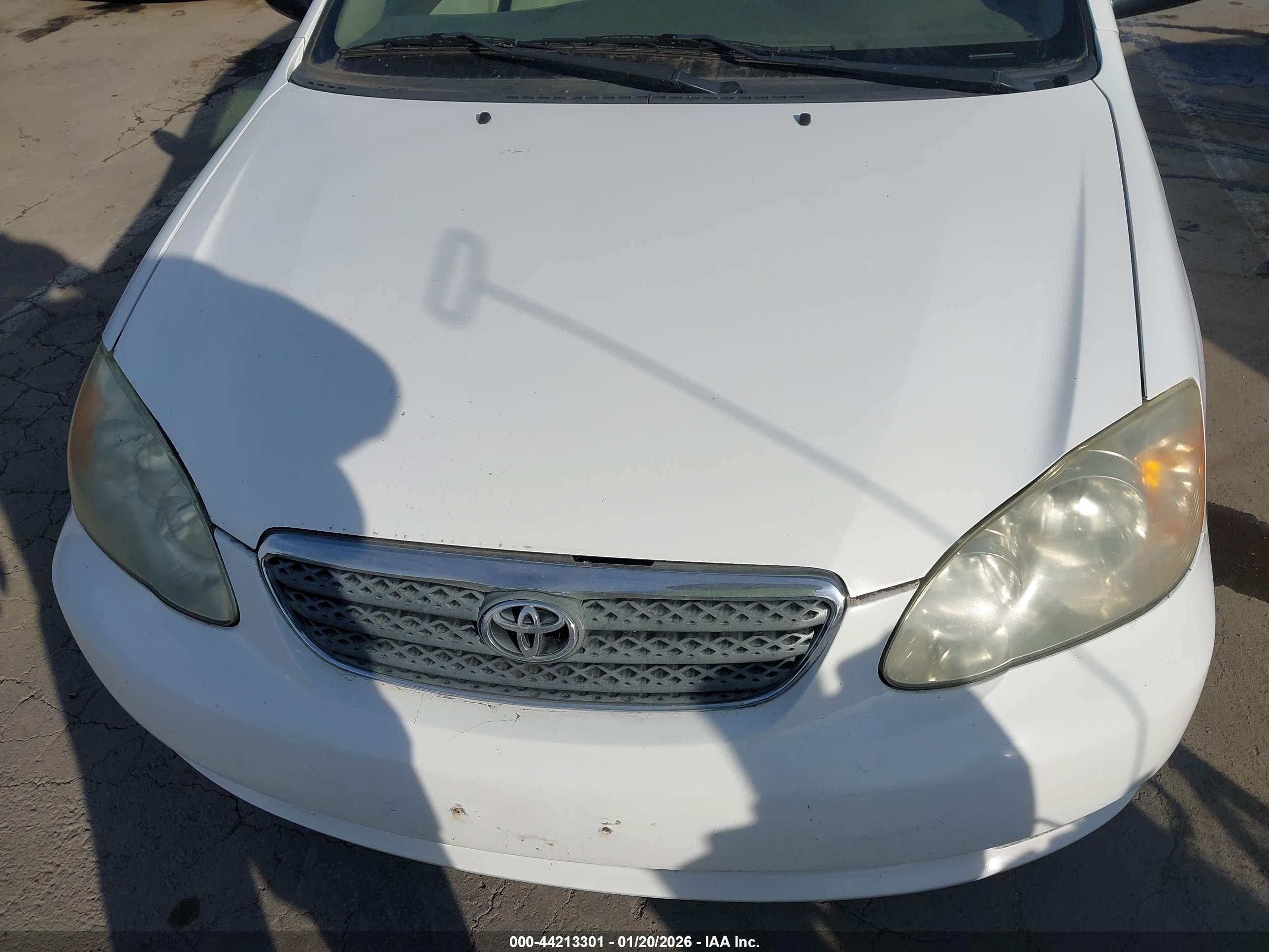 TOYOTA COROLLA image 6