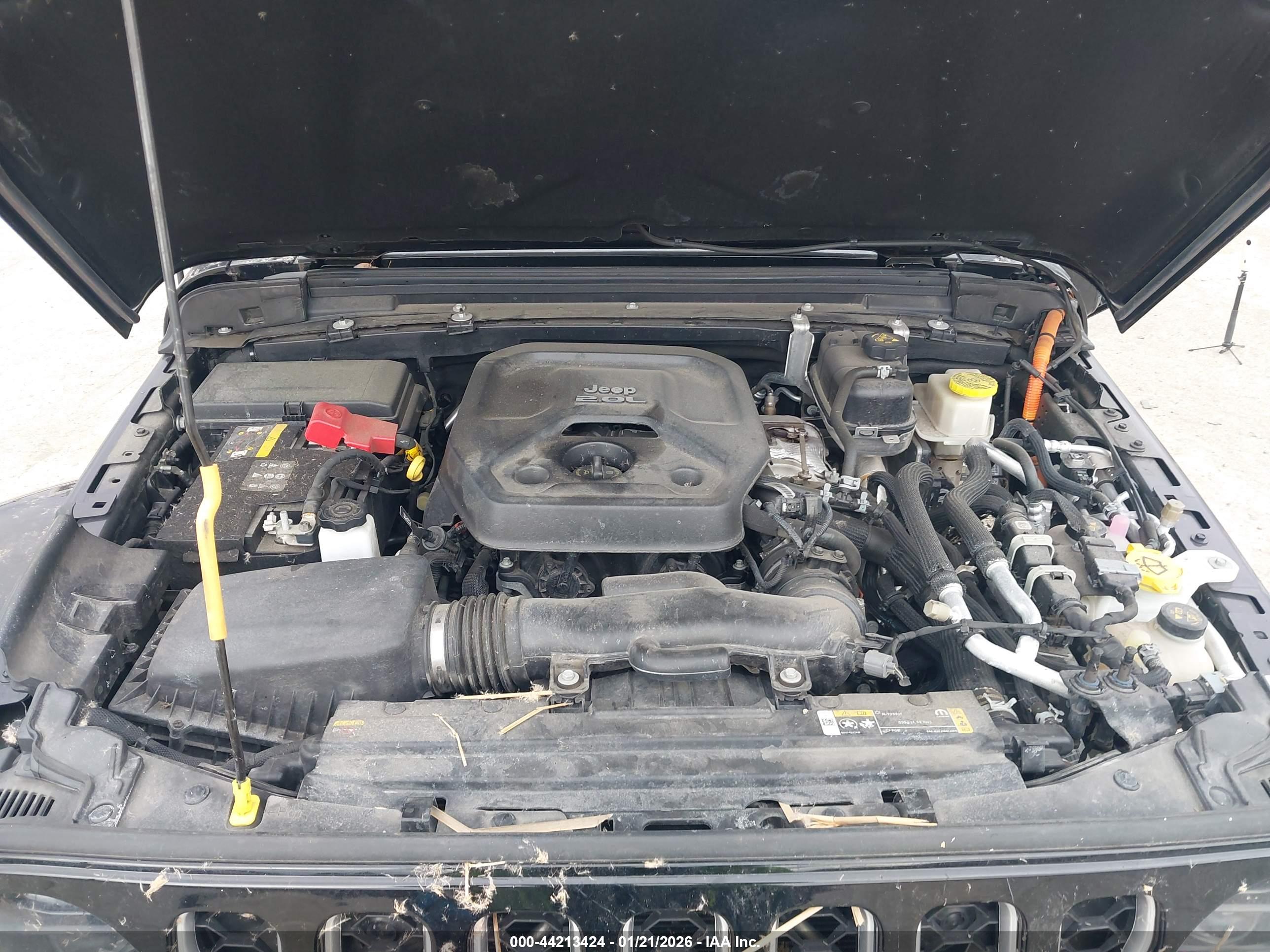 JEEP WRANGLER image 10