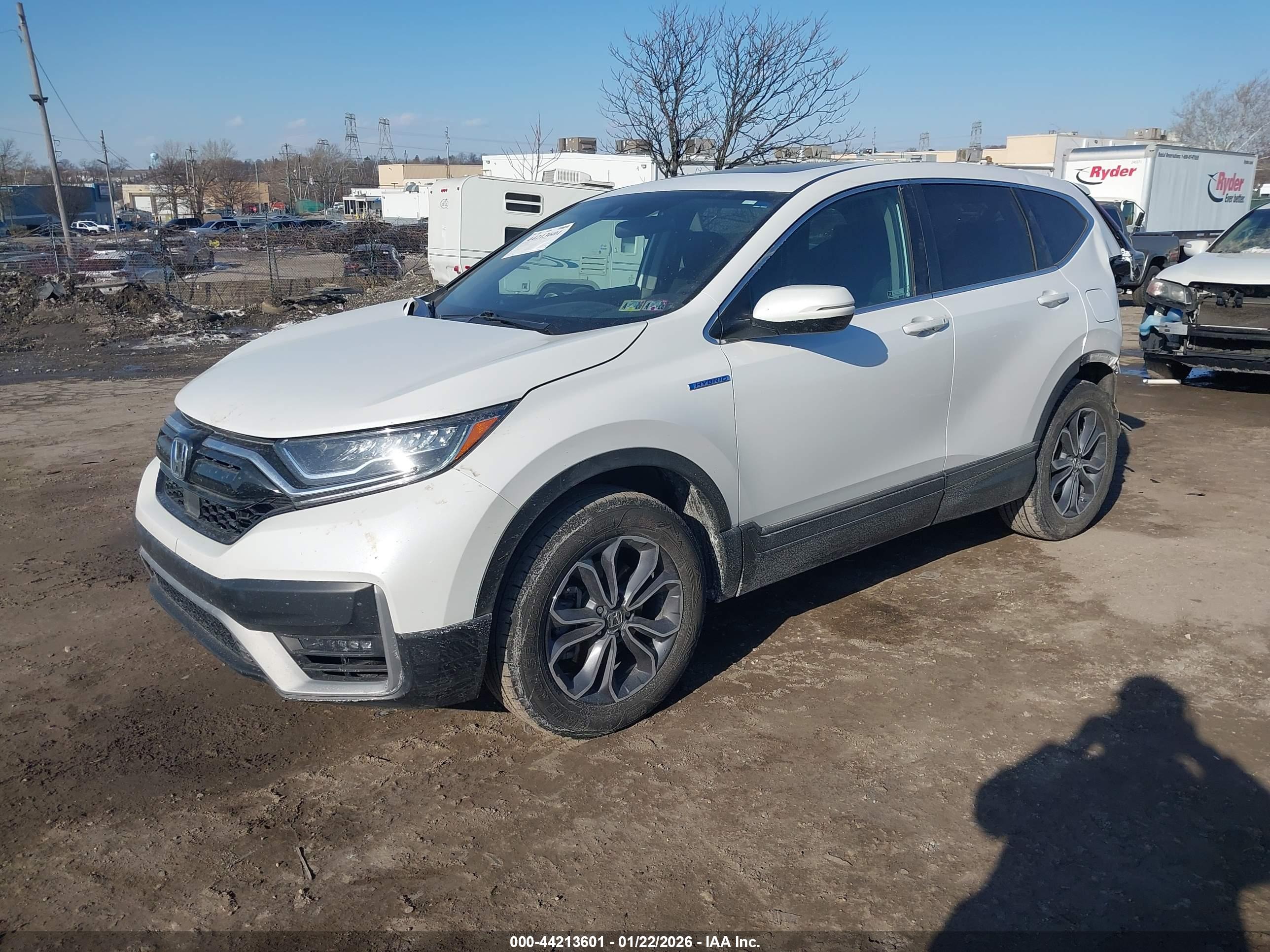 HONDA CR-V image 2