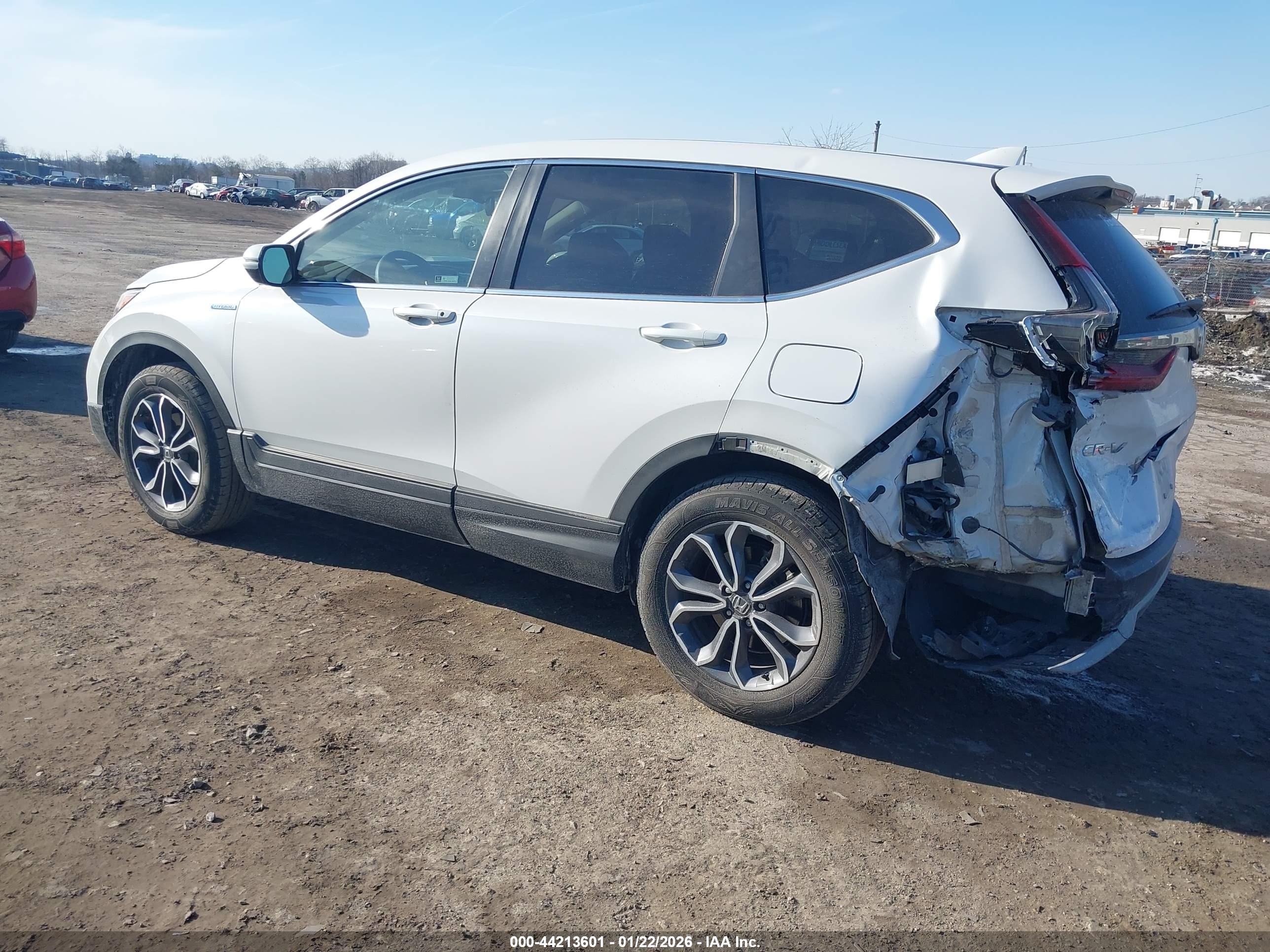 HONDA CR-V image 3