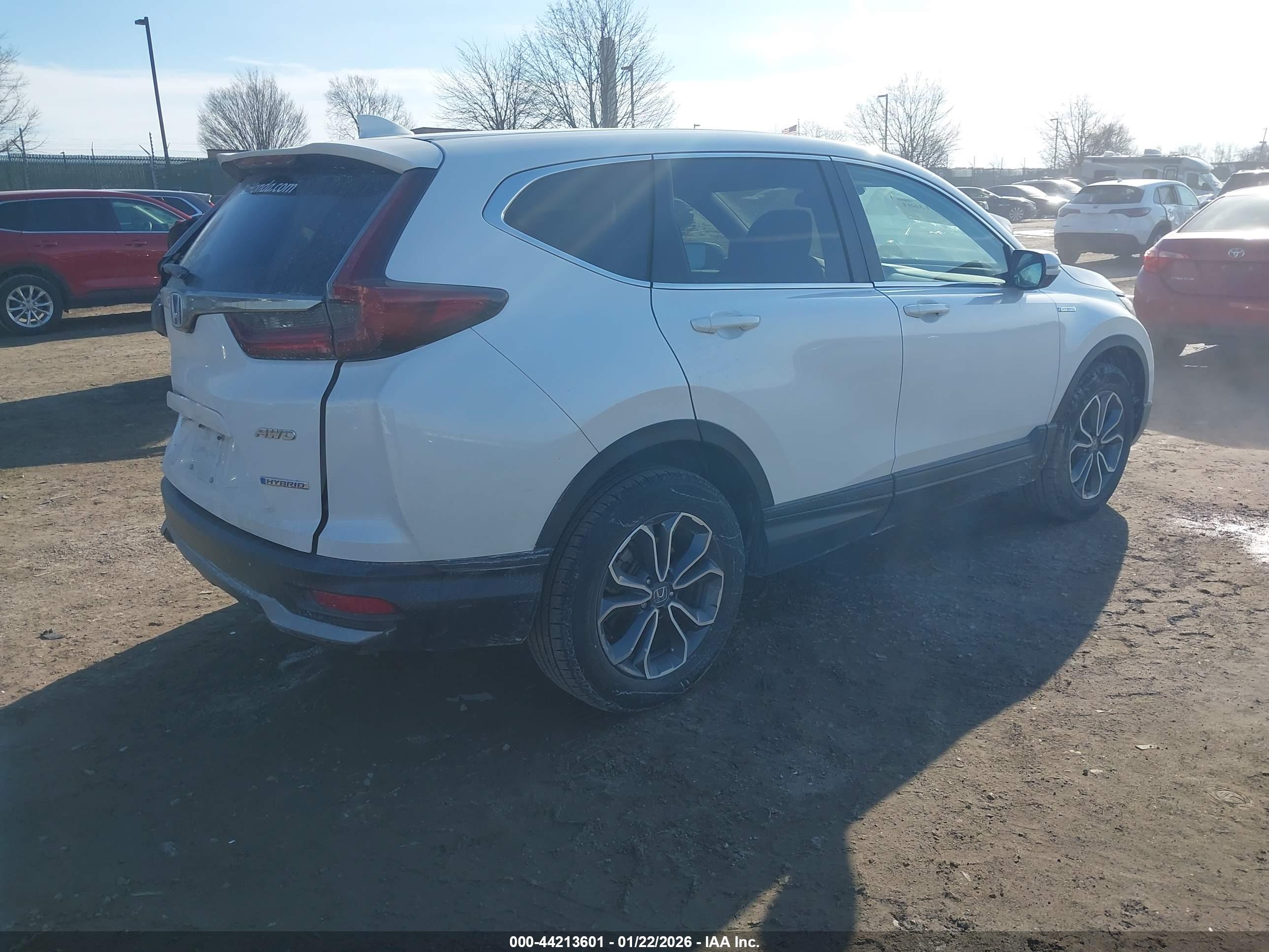 HONDA CR-V image 4