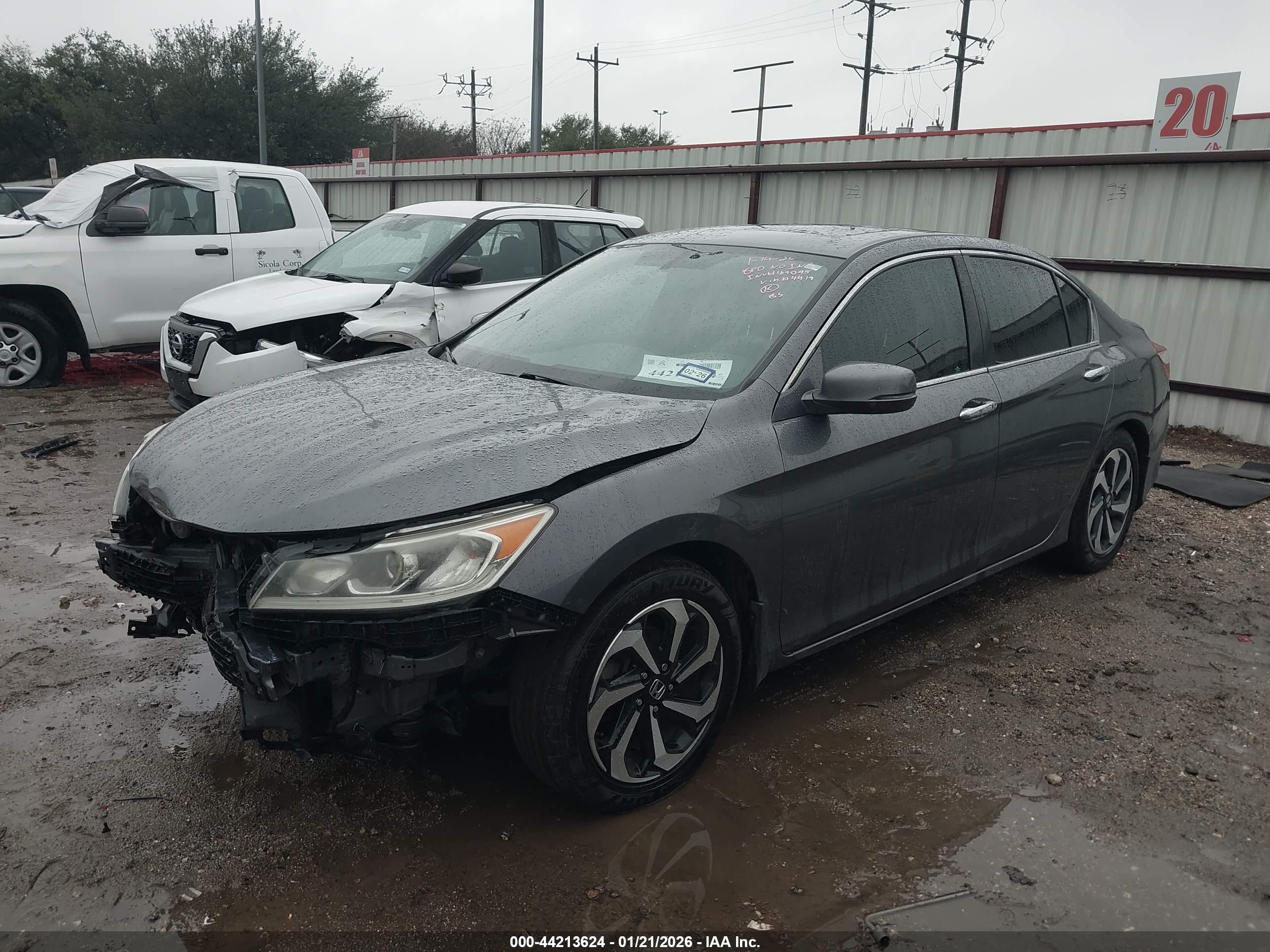 HONDA ACCORD image 2