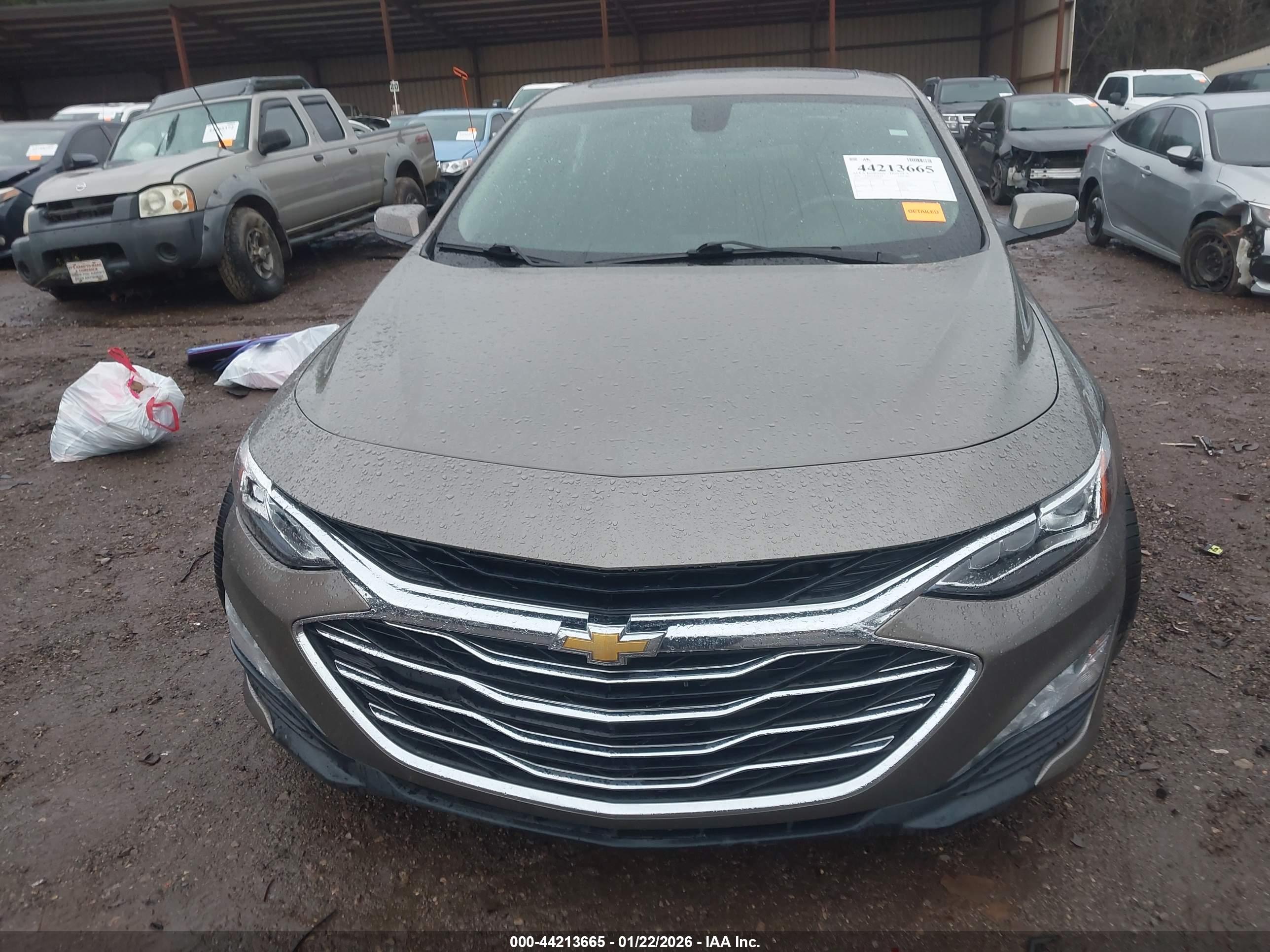 CHEVROLET MALIBU image 6