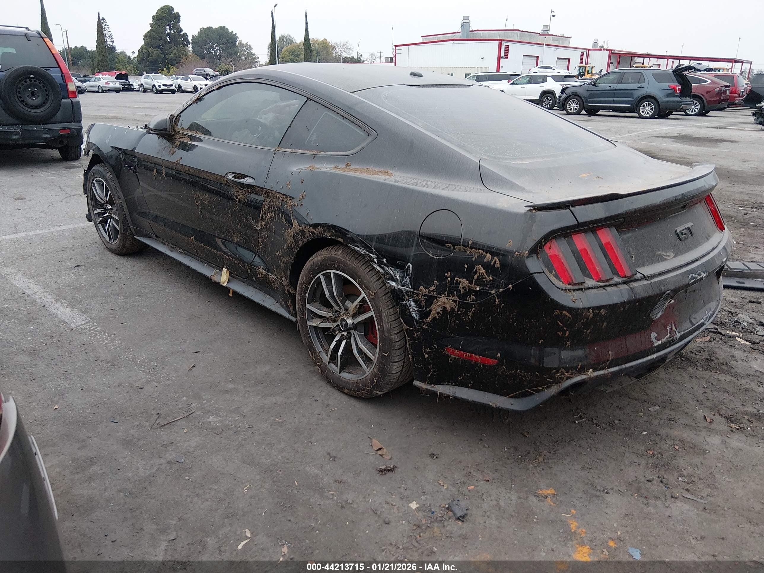 FORD MUSTANG image 3