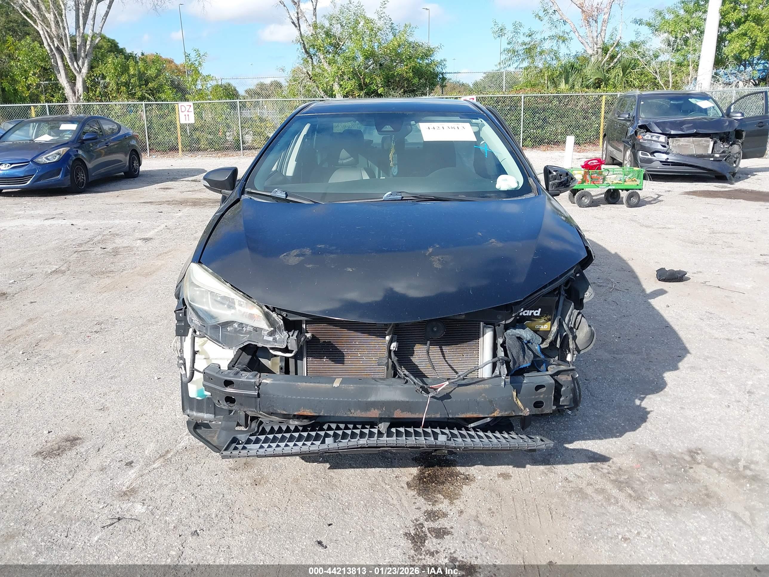 TOYOTA COROLLA image 6