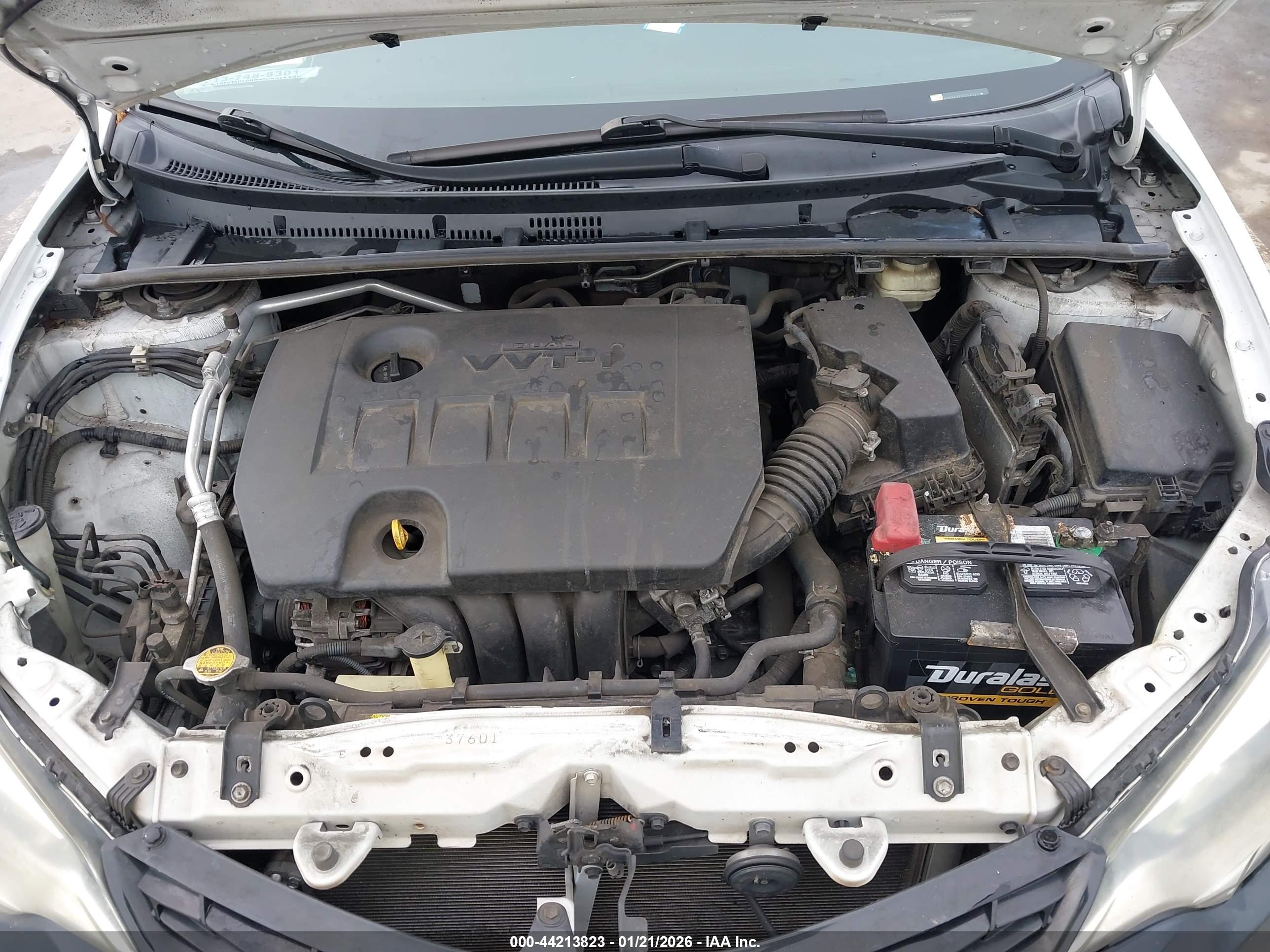 TOYOTA COROLLA image 10