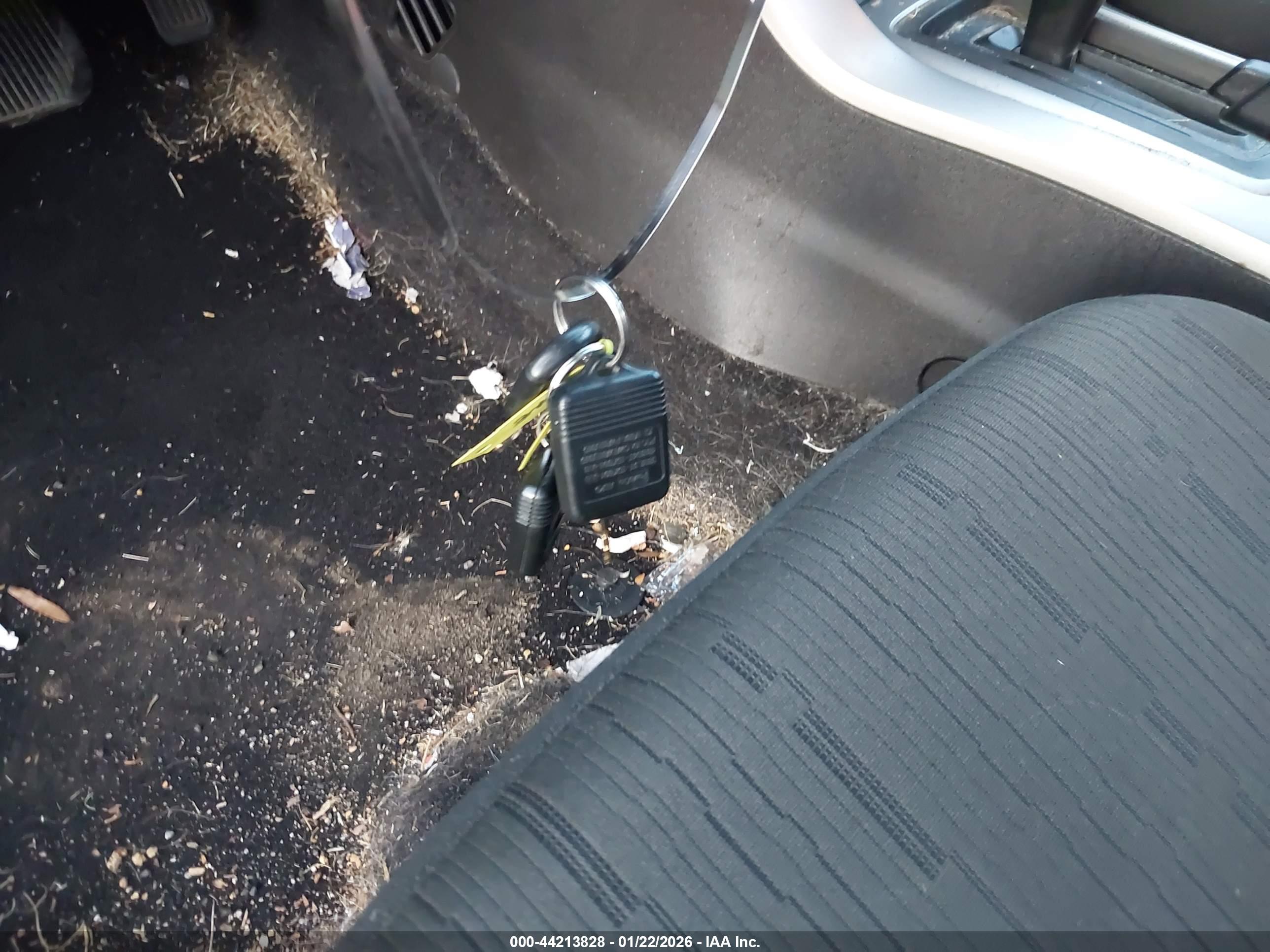 FORD FOCUS image 11