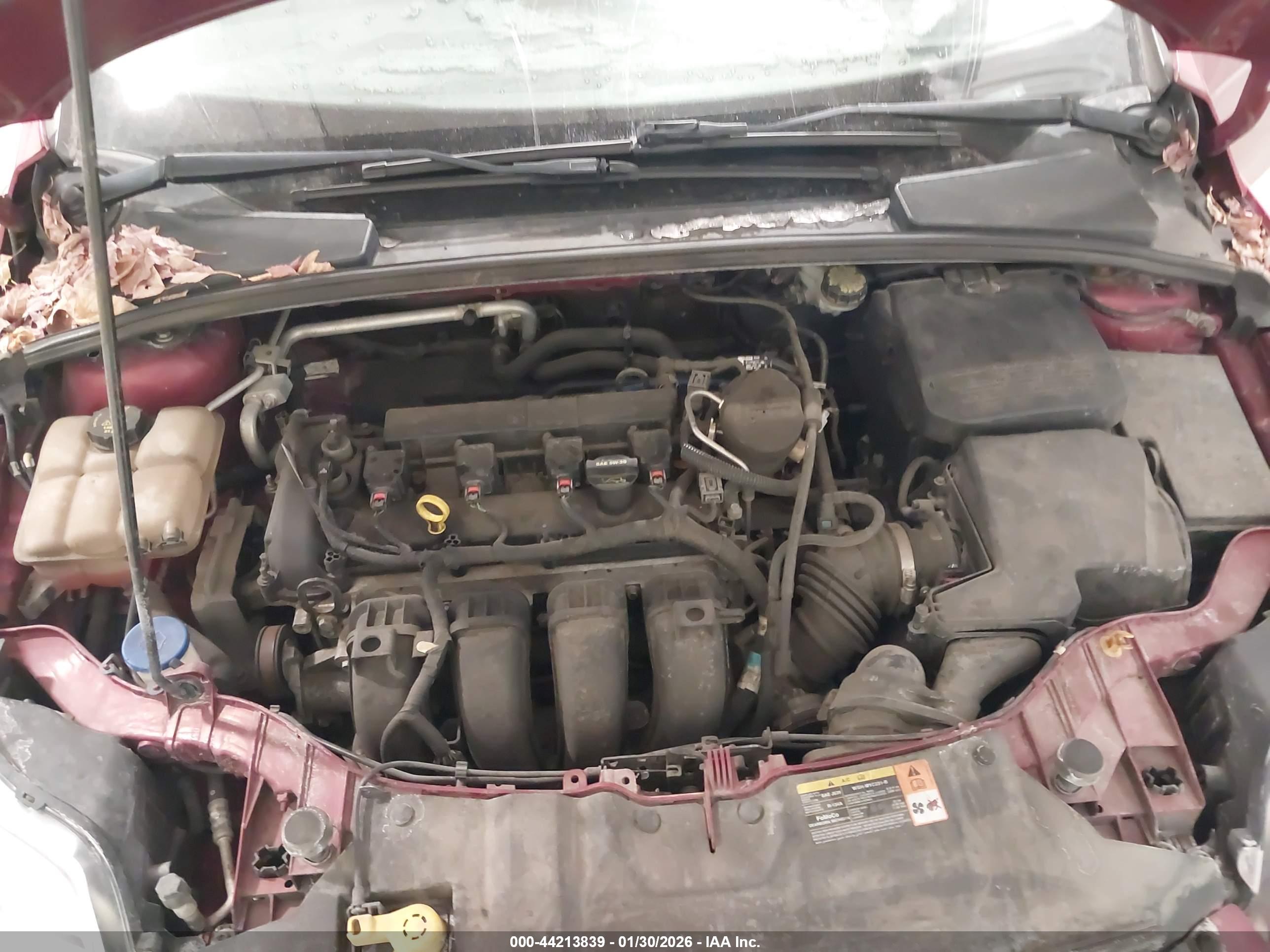 FORD FOCUS image 10