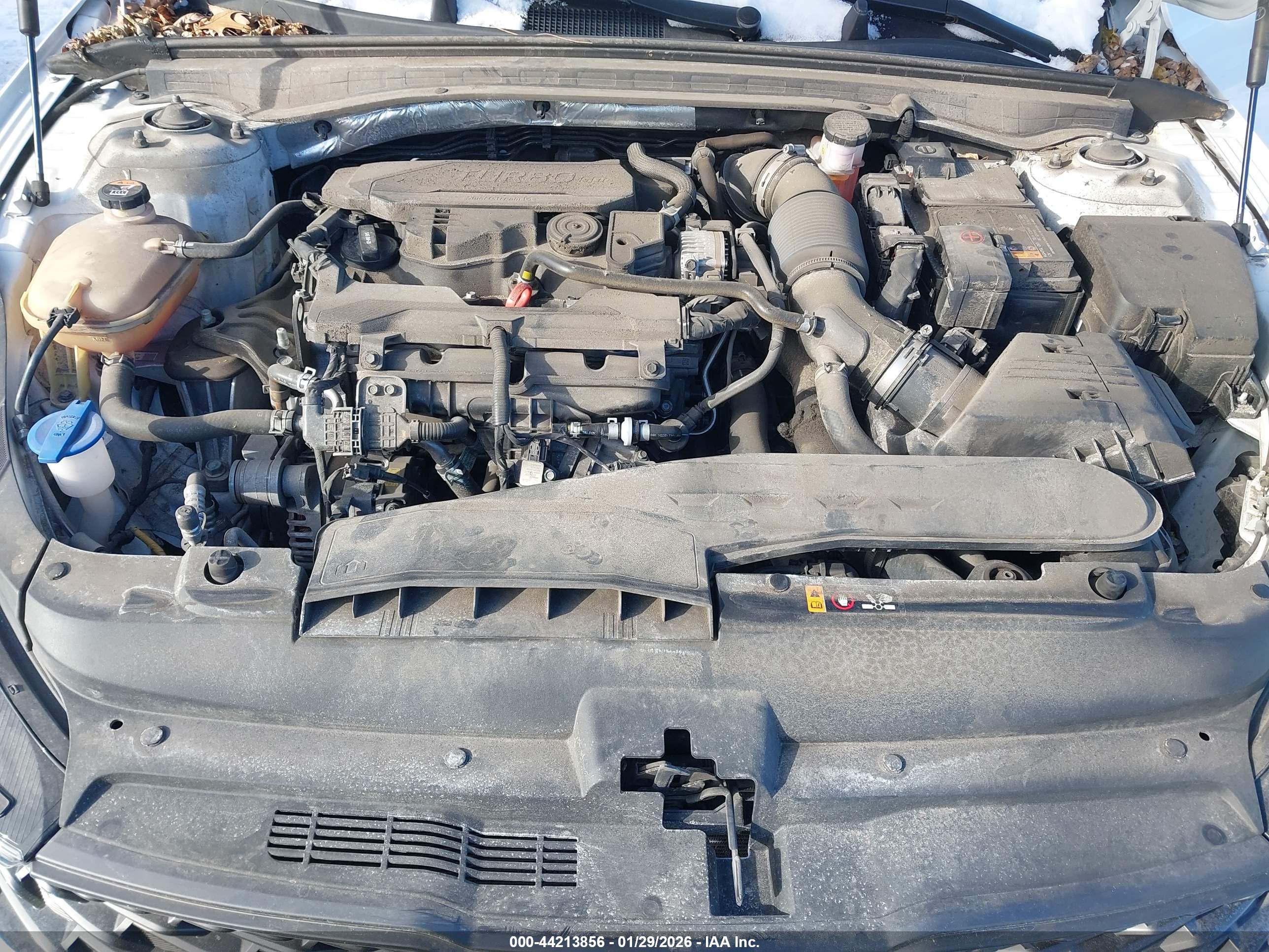 KIA K5 image 10