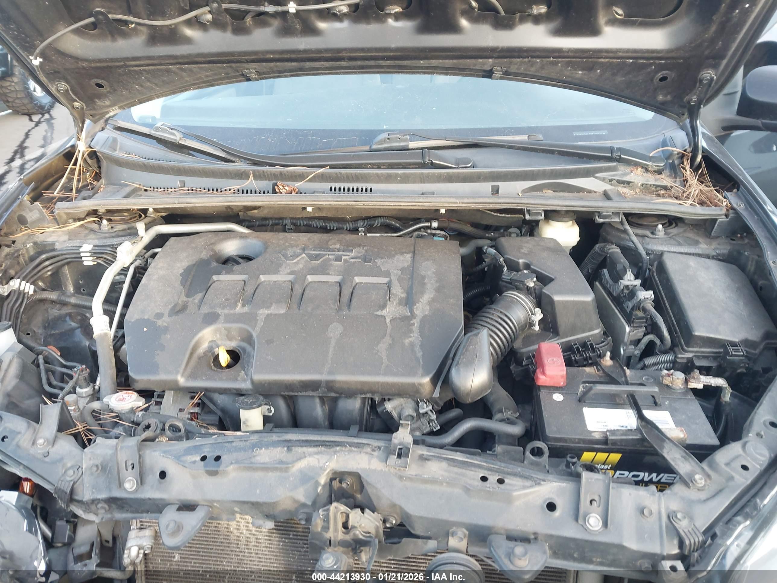 TOYOTA COROLLA image 10