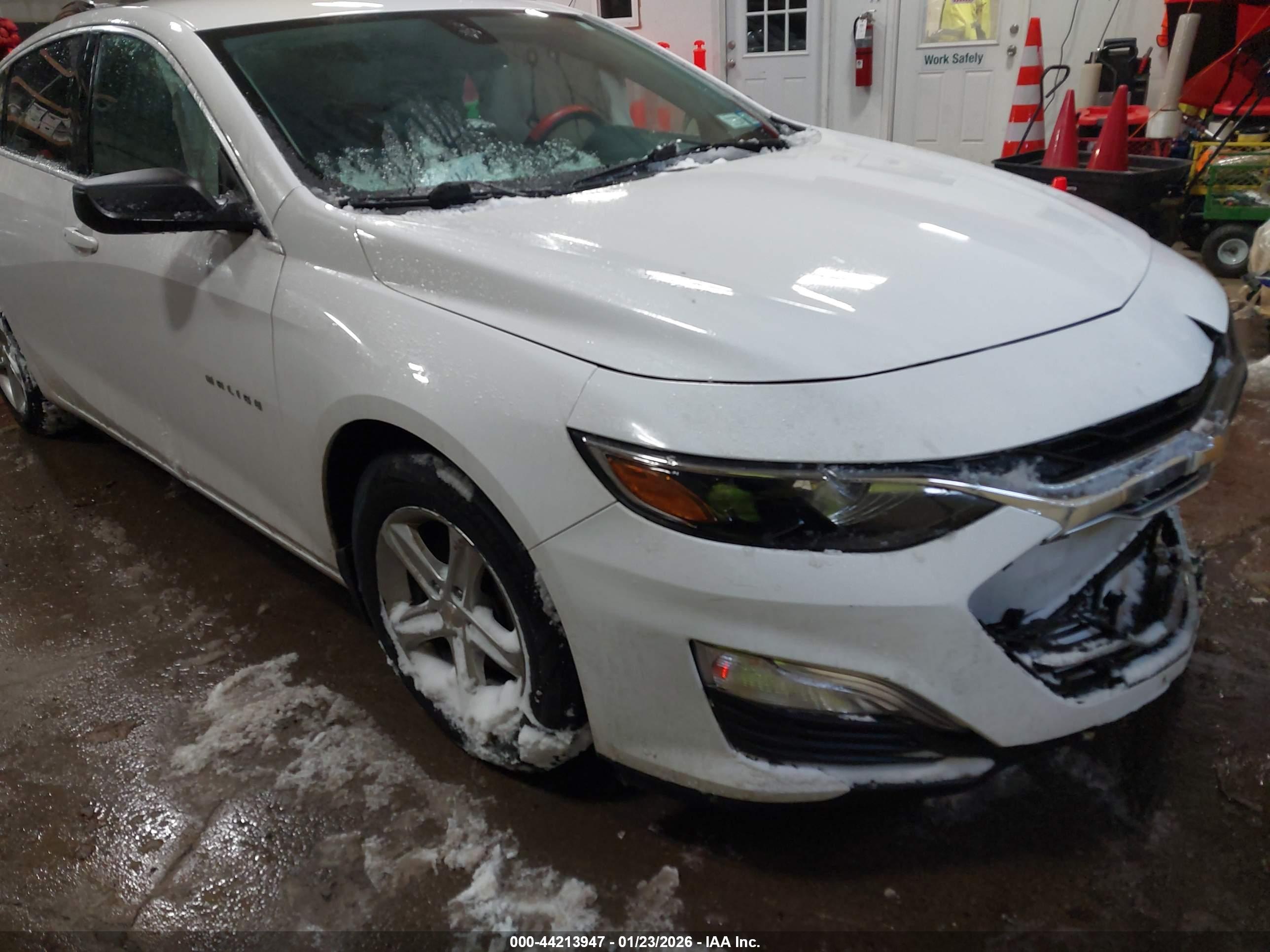 CHEVROLET MALIBU image 6