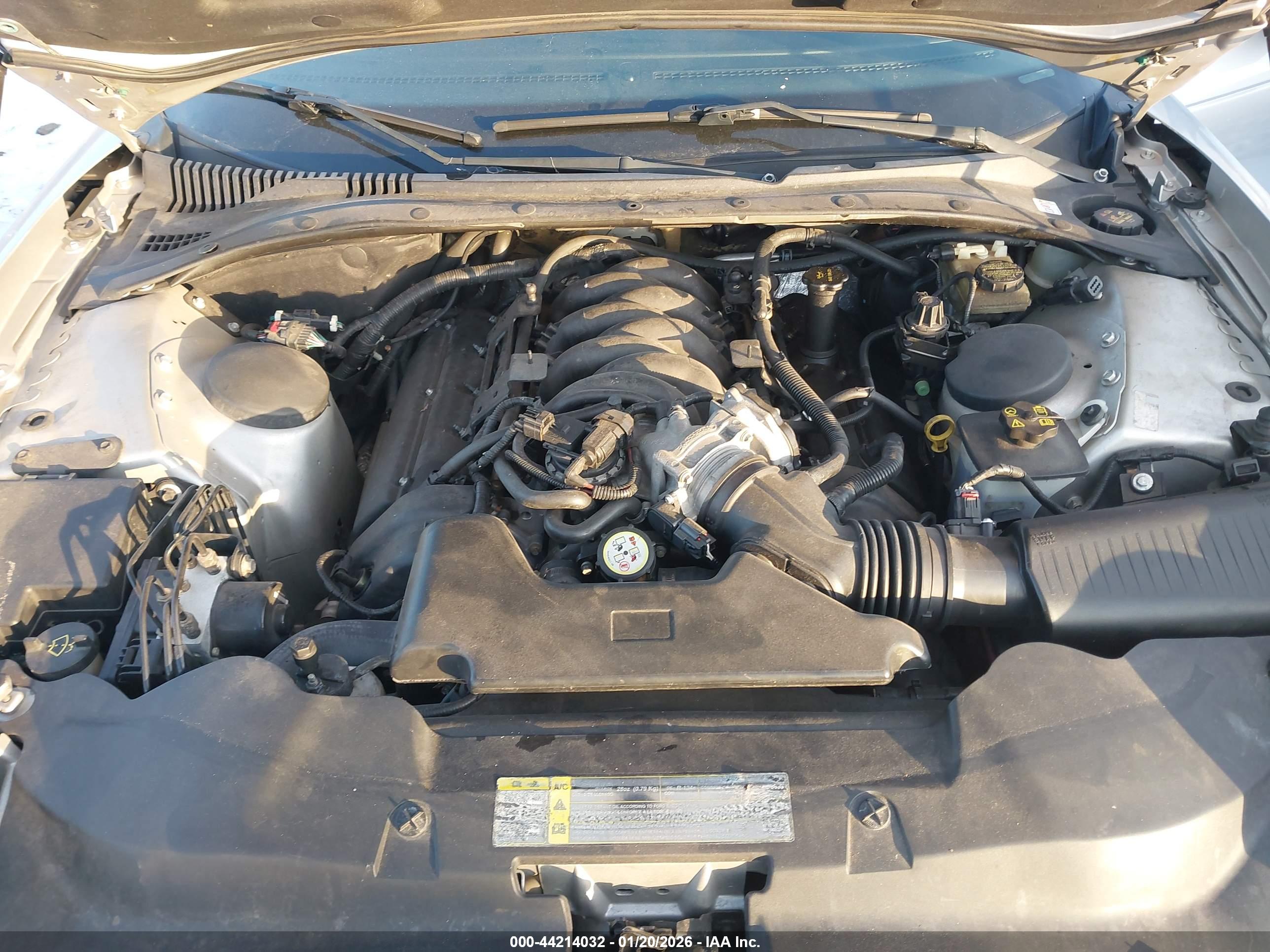 FORD THUNDERBIRD image 10