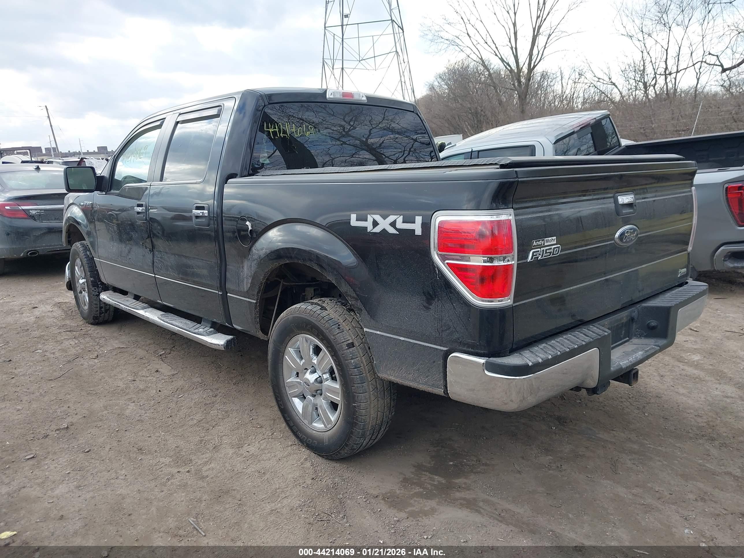 FORD F-150 image 3