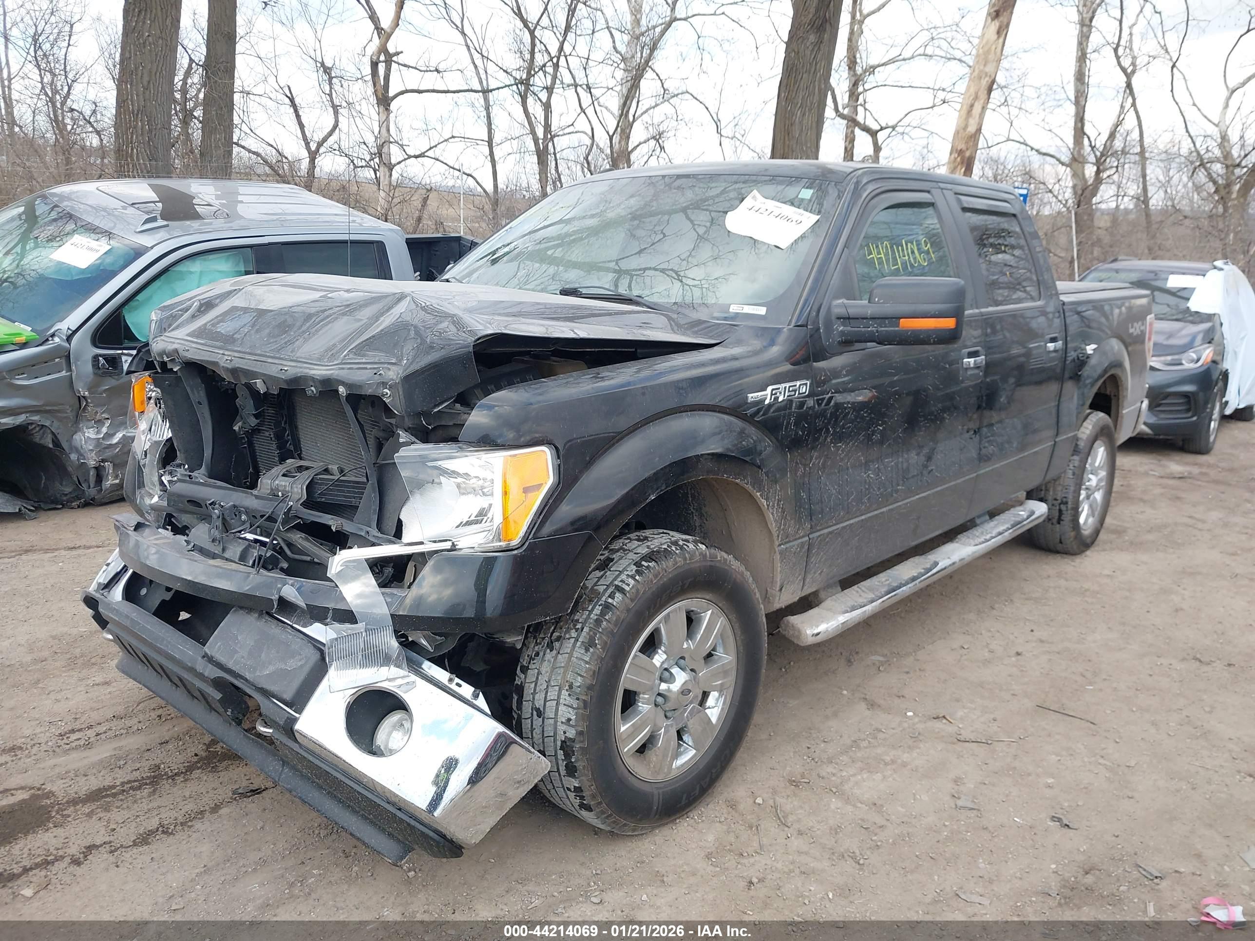 FORD F-150 image 6
