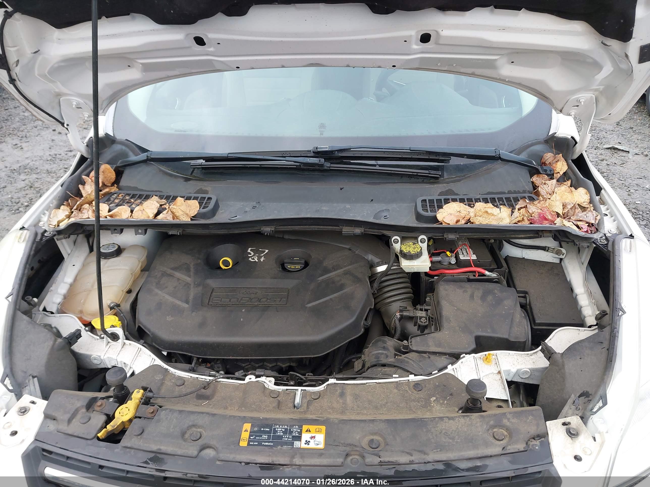 FORD ESCAPE image 10