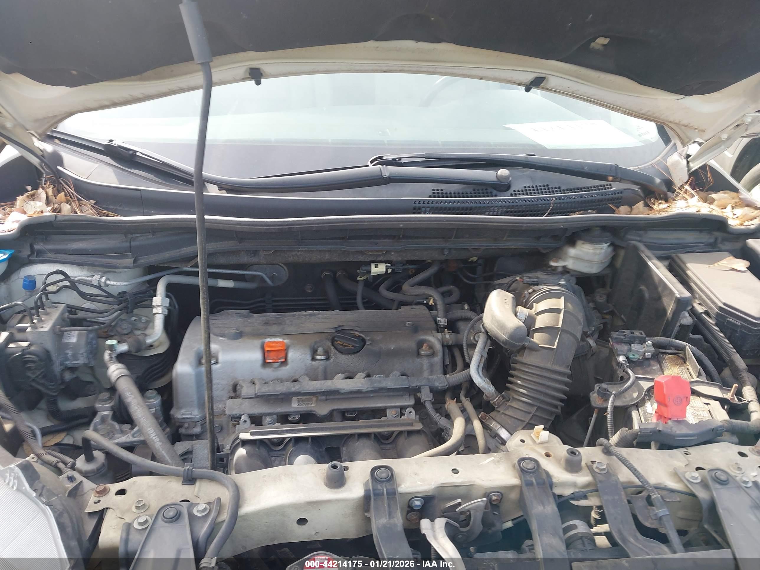 HONDA CR-V image 10