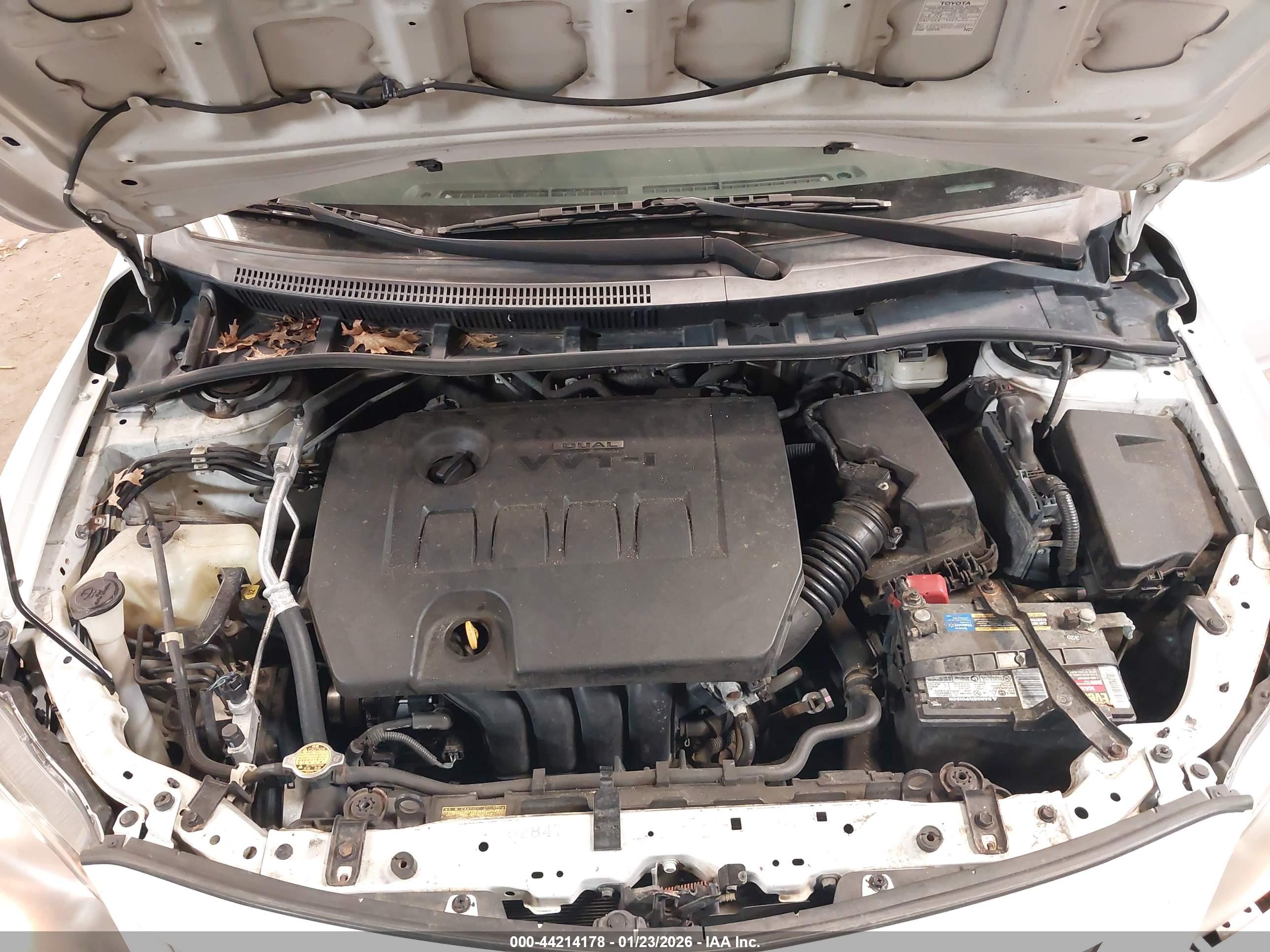 TOYOTA COROLLA image 10